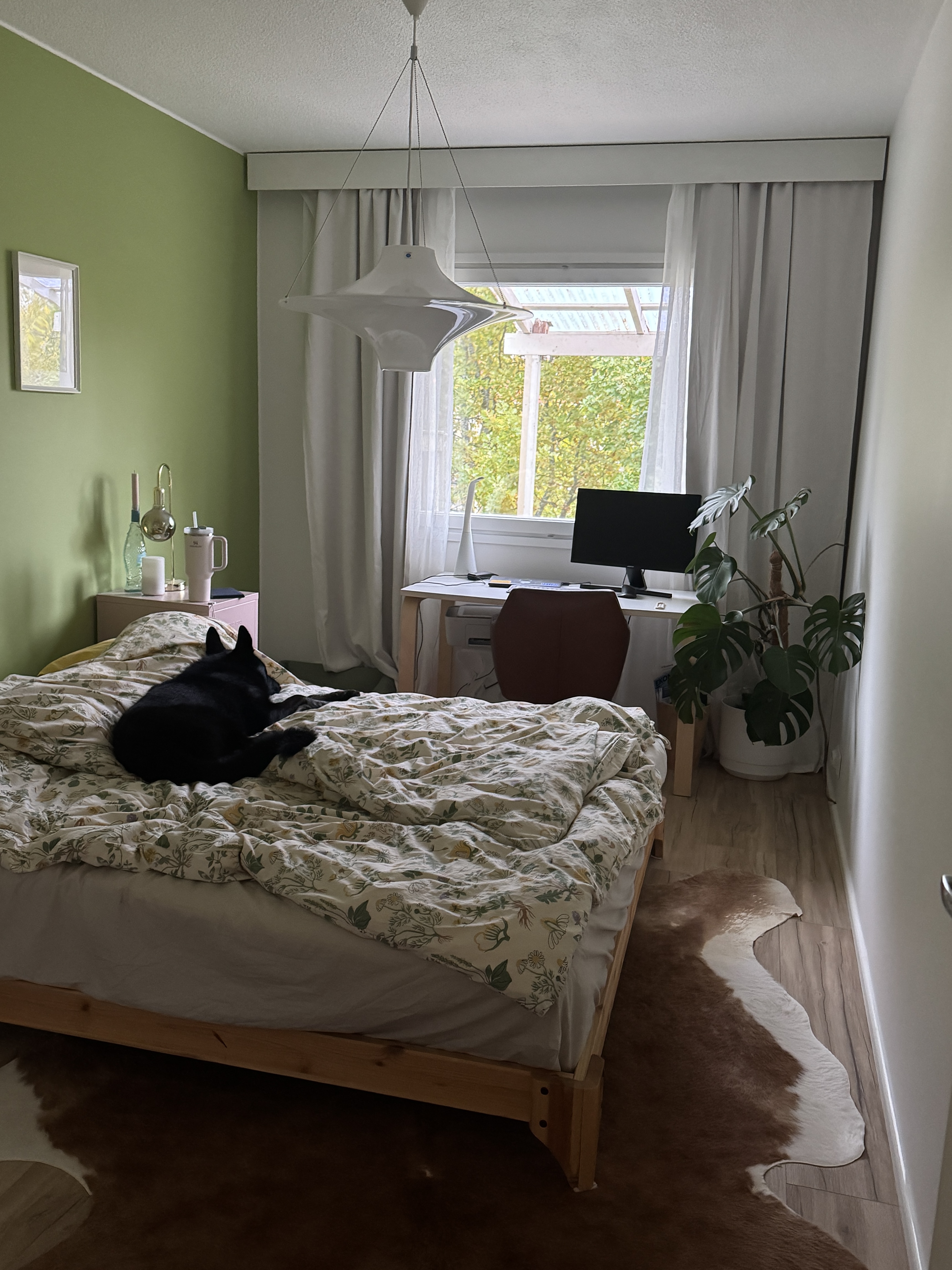image-5