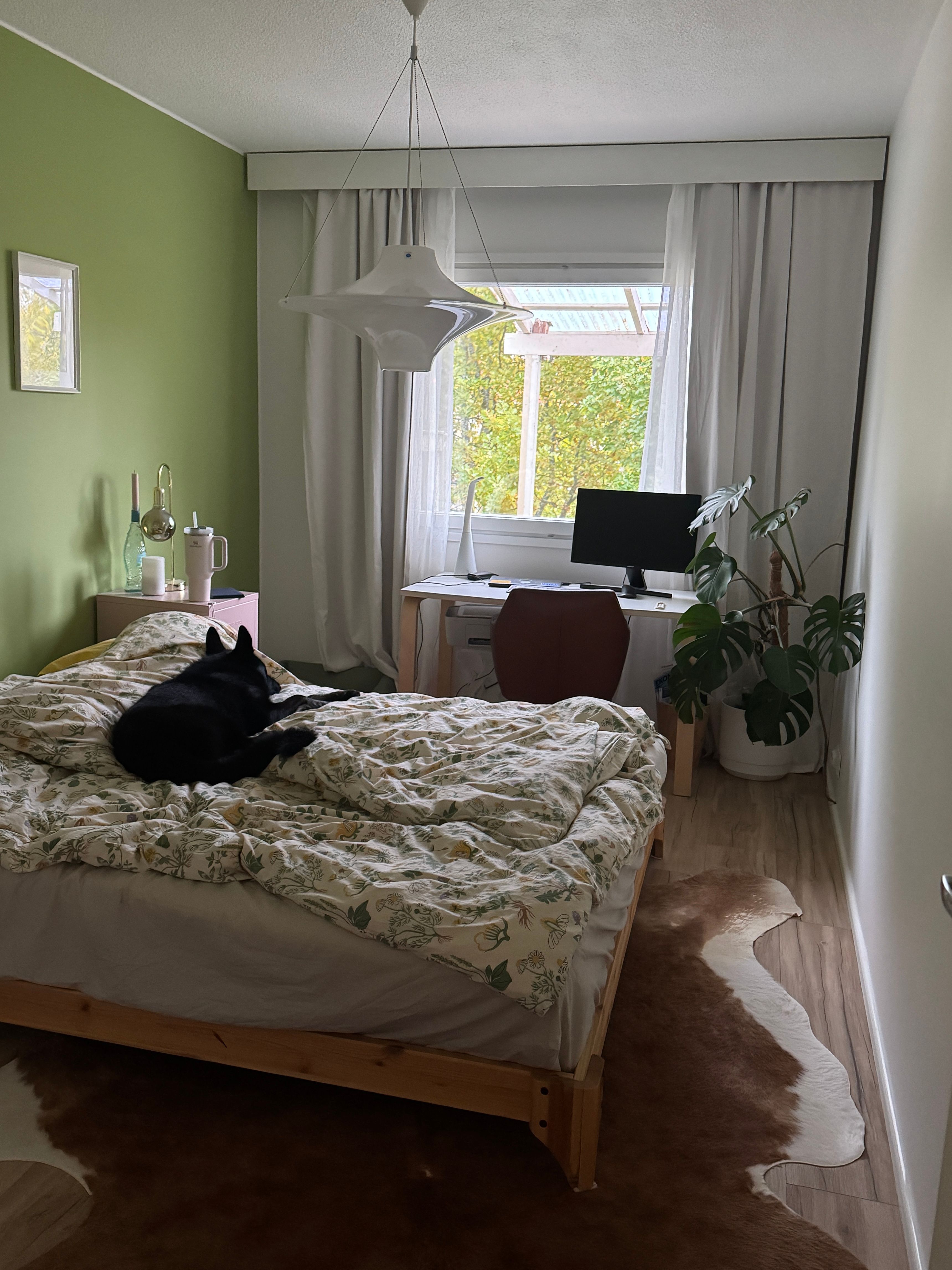 image-5