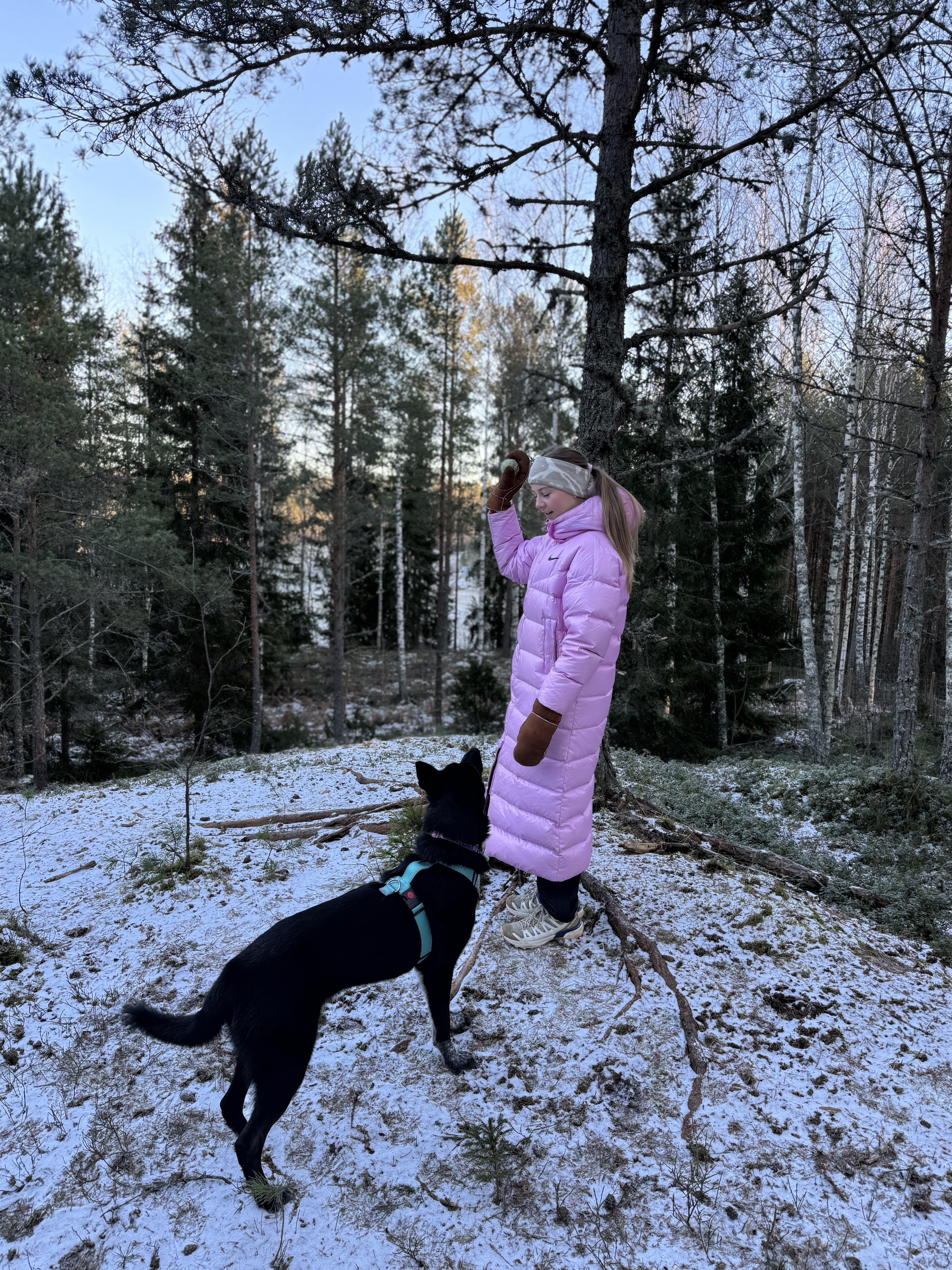 image-4