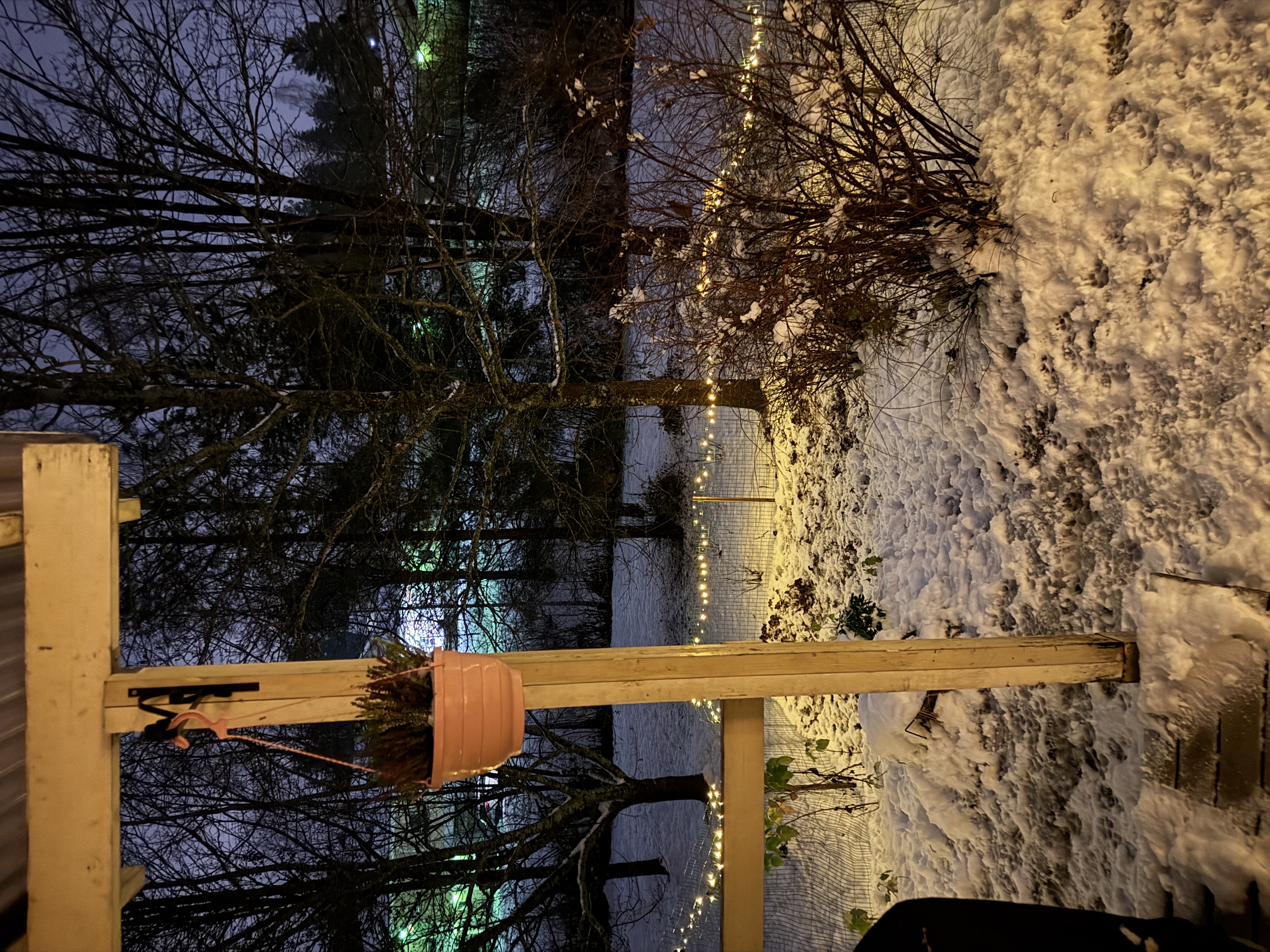 image-8