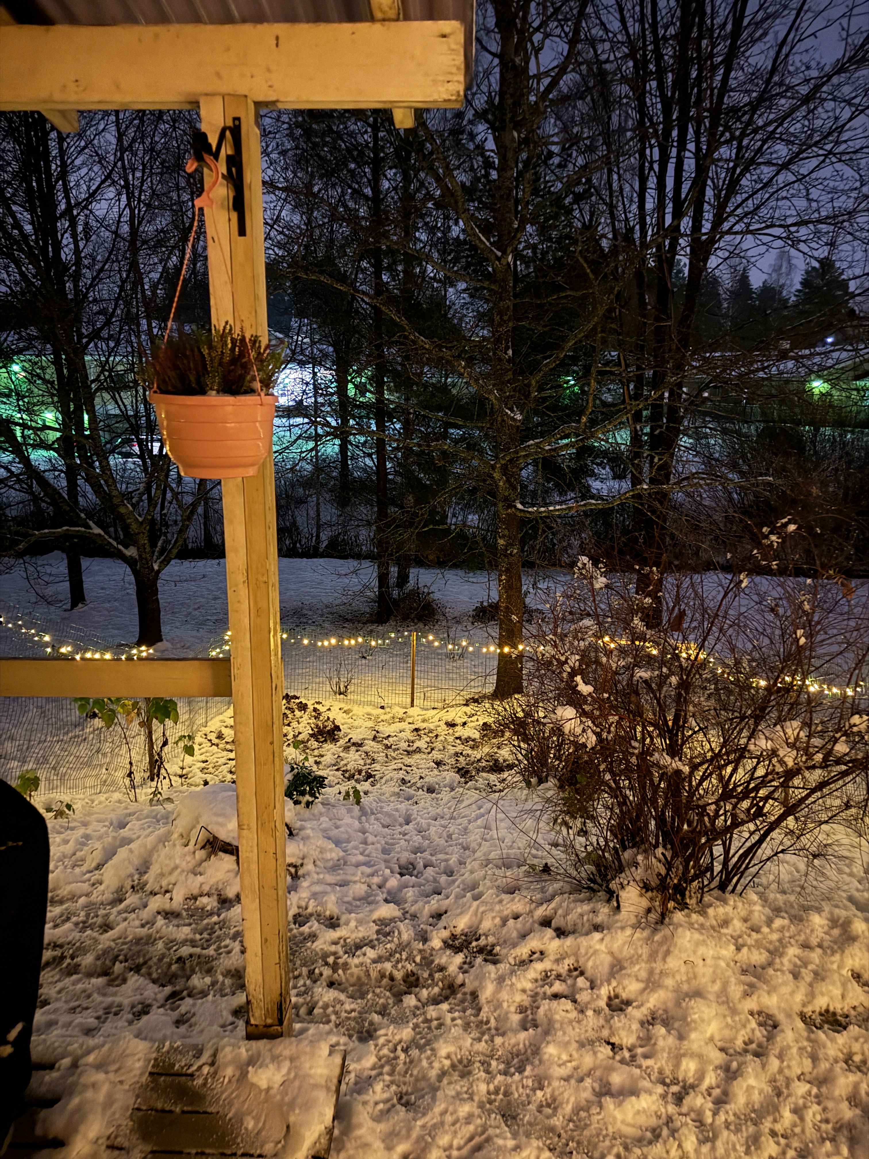 image-8