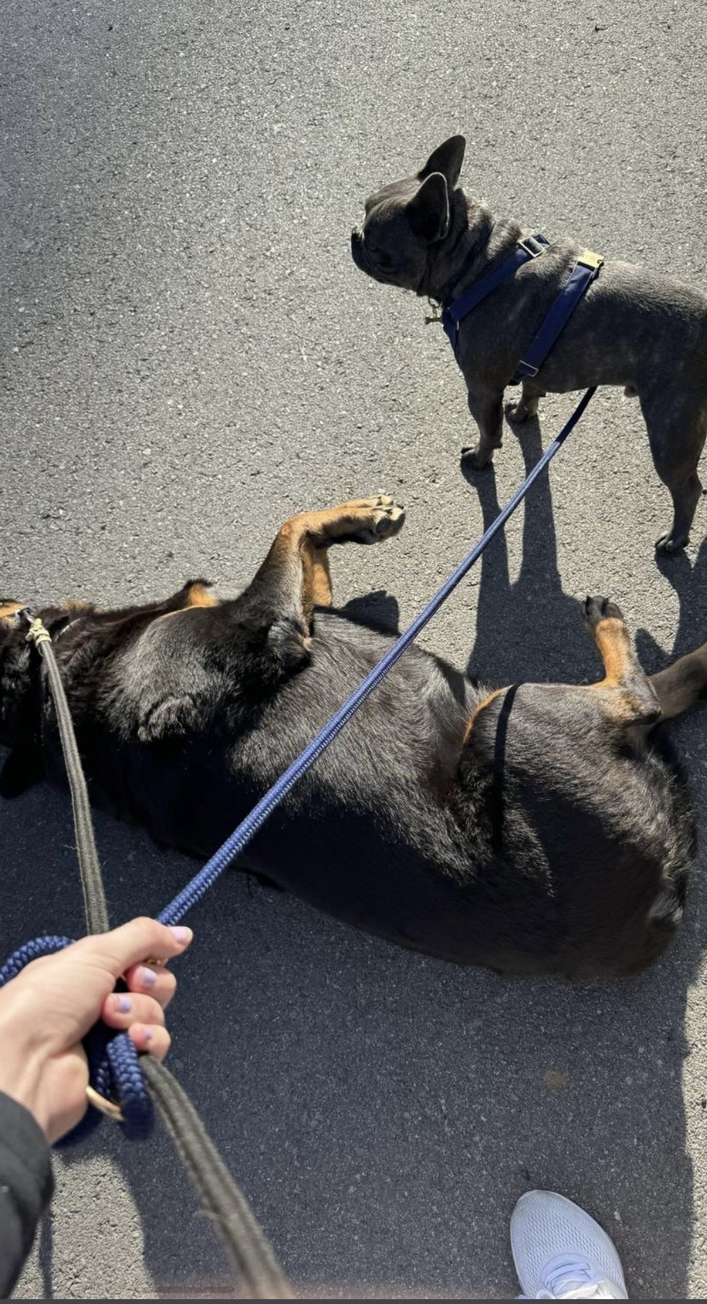 image-9