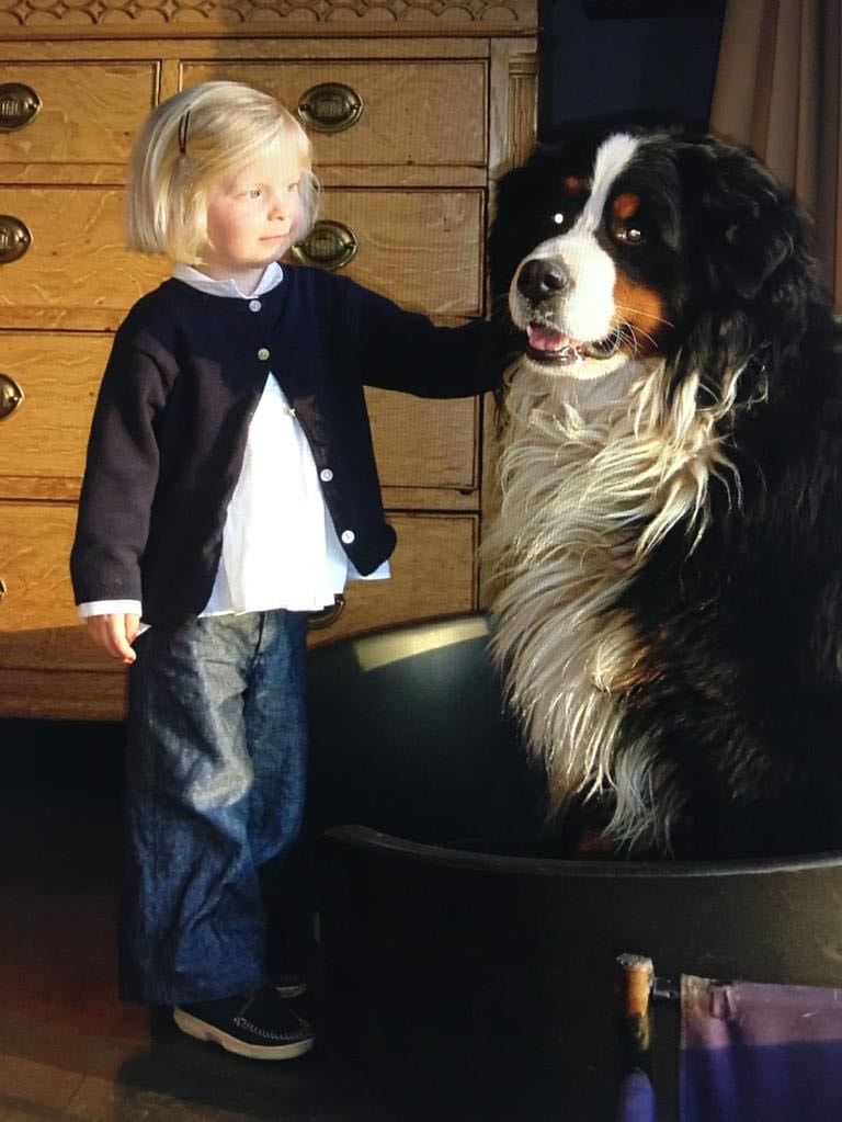 image-4