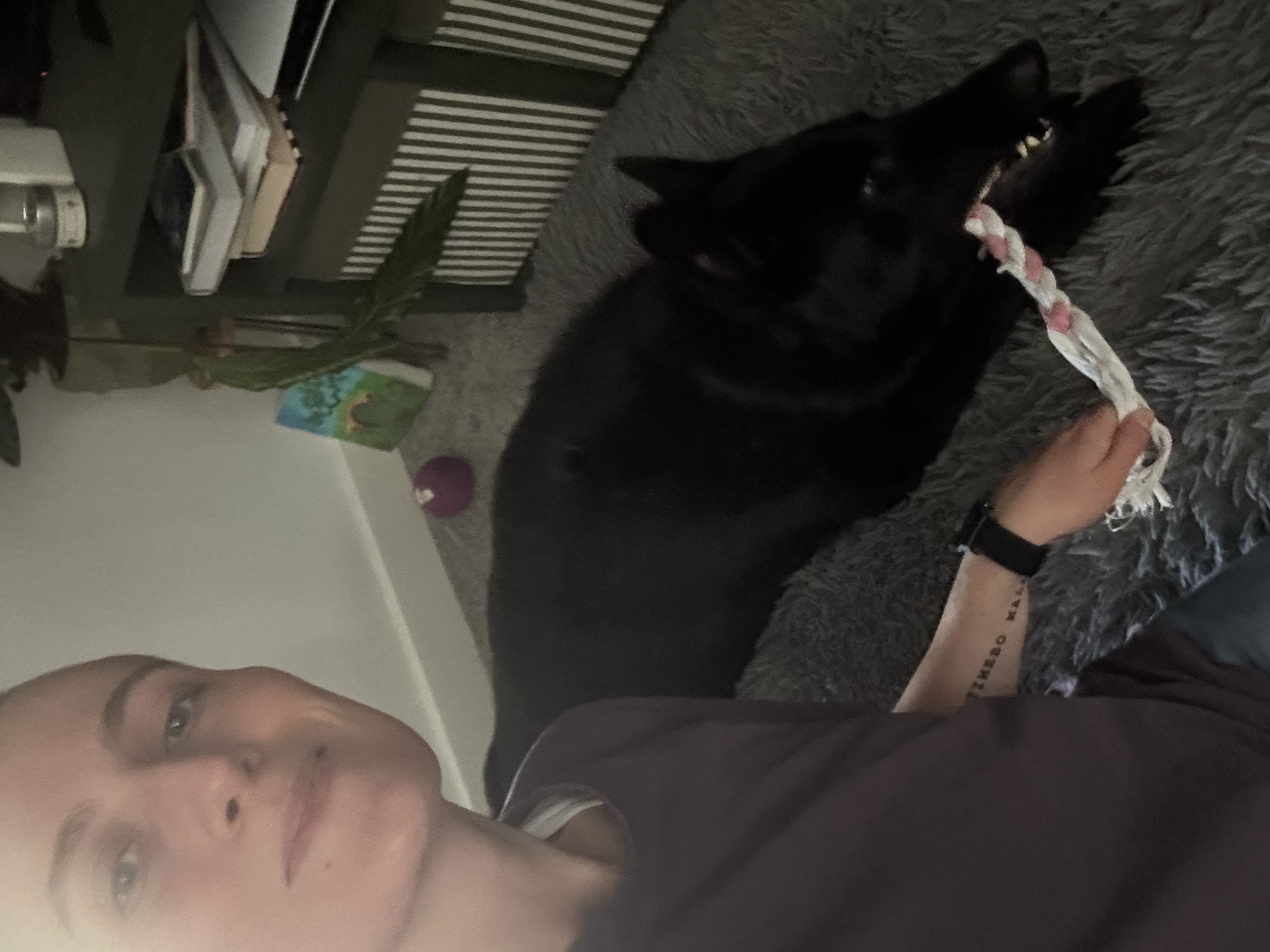 image-11