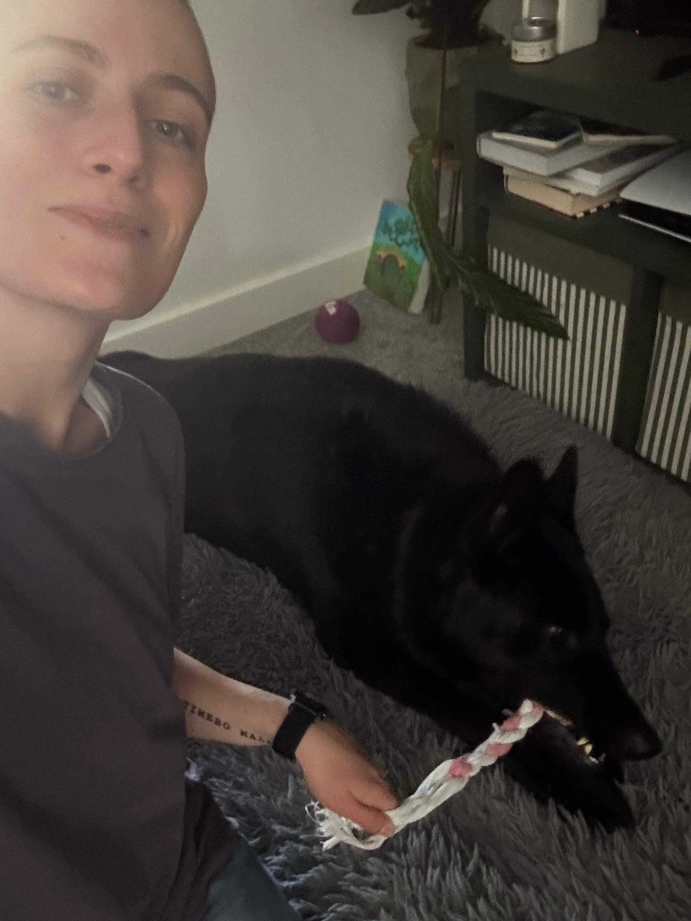 image-11