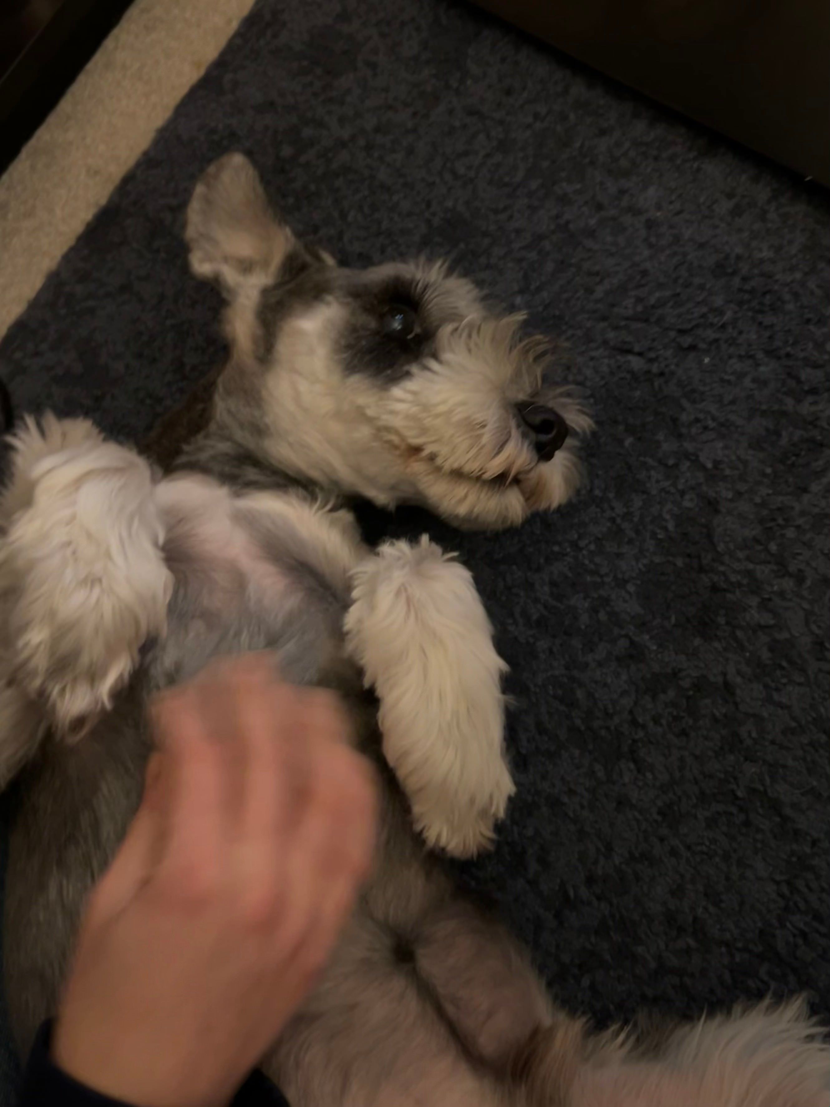 image-7