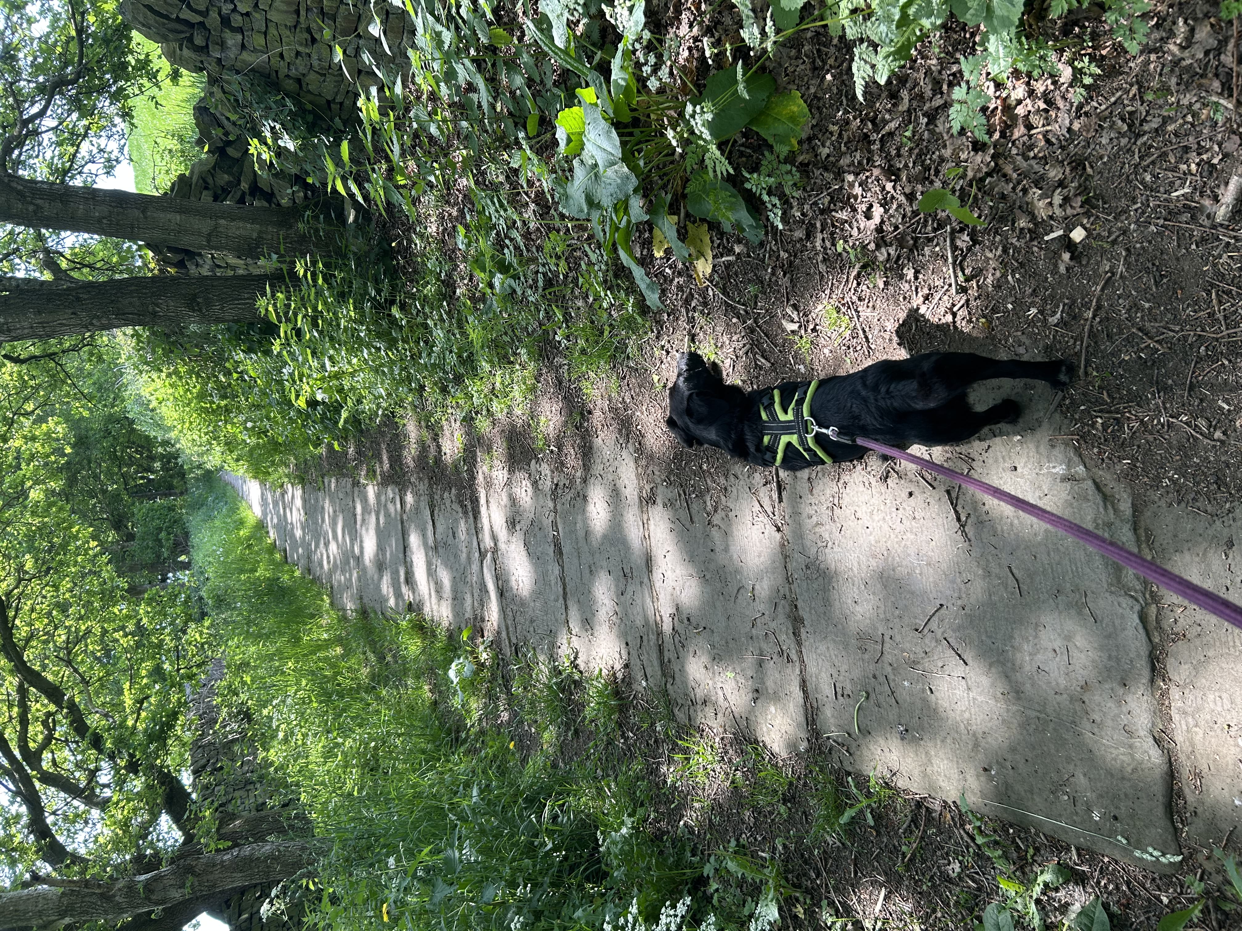 image-10