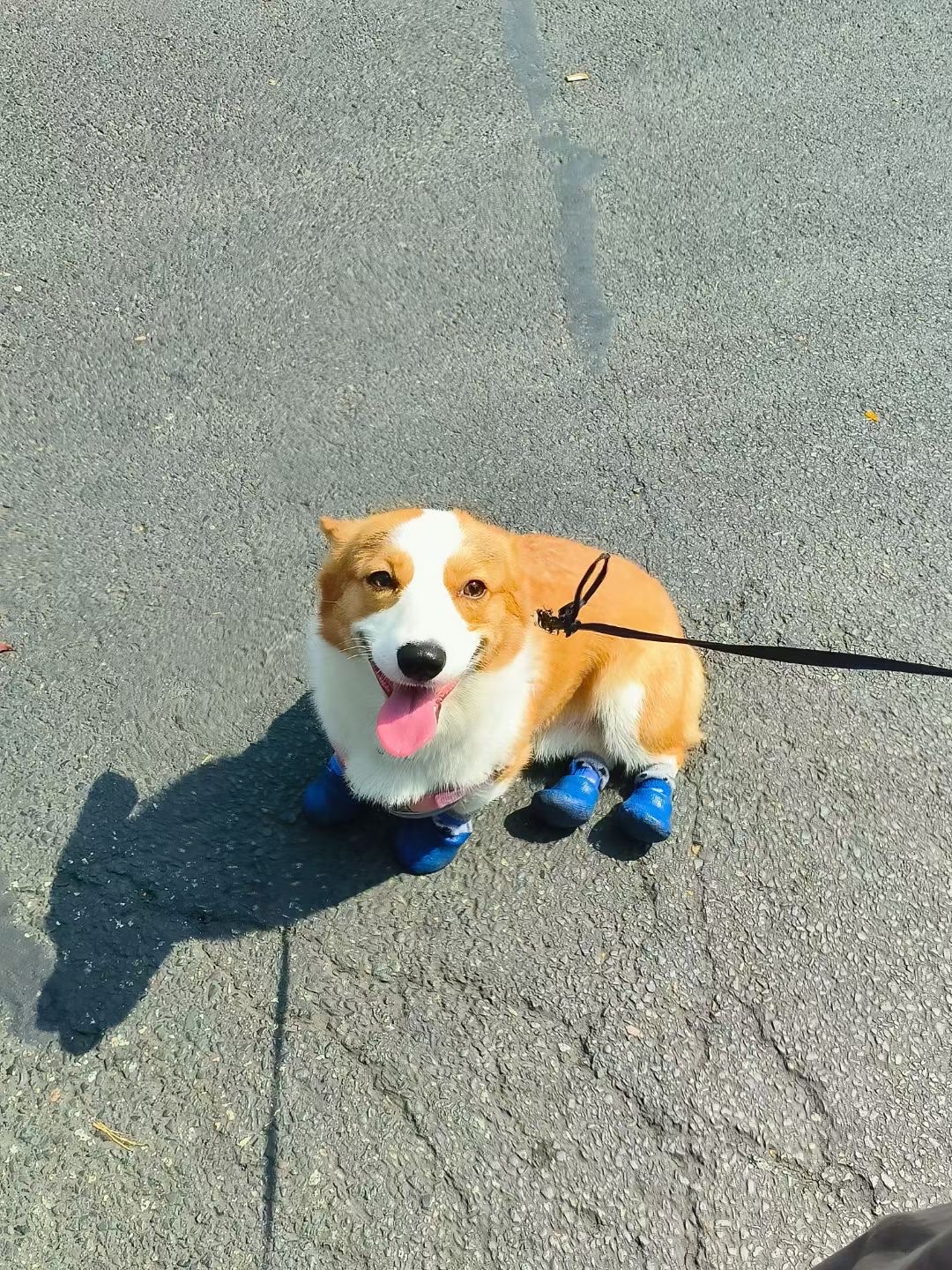 image-6