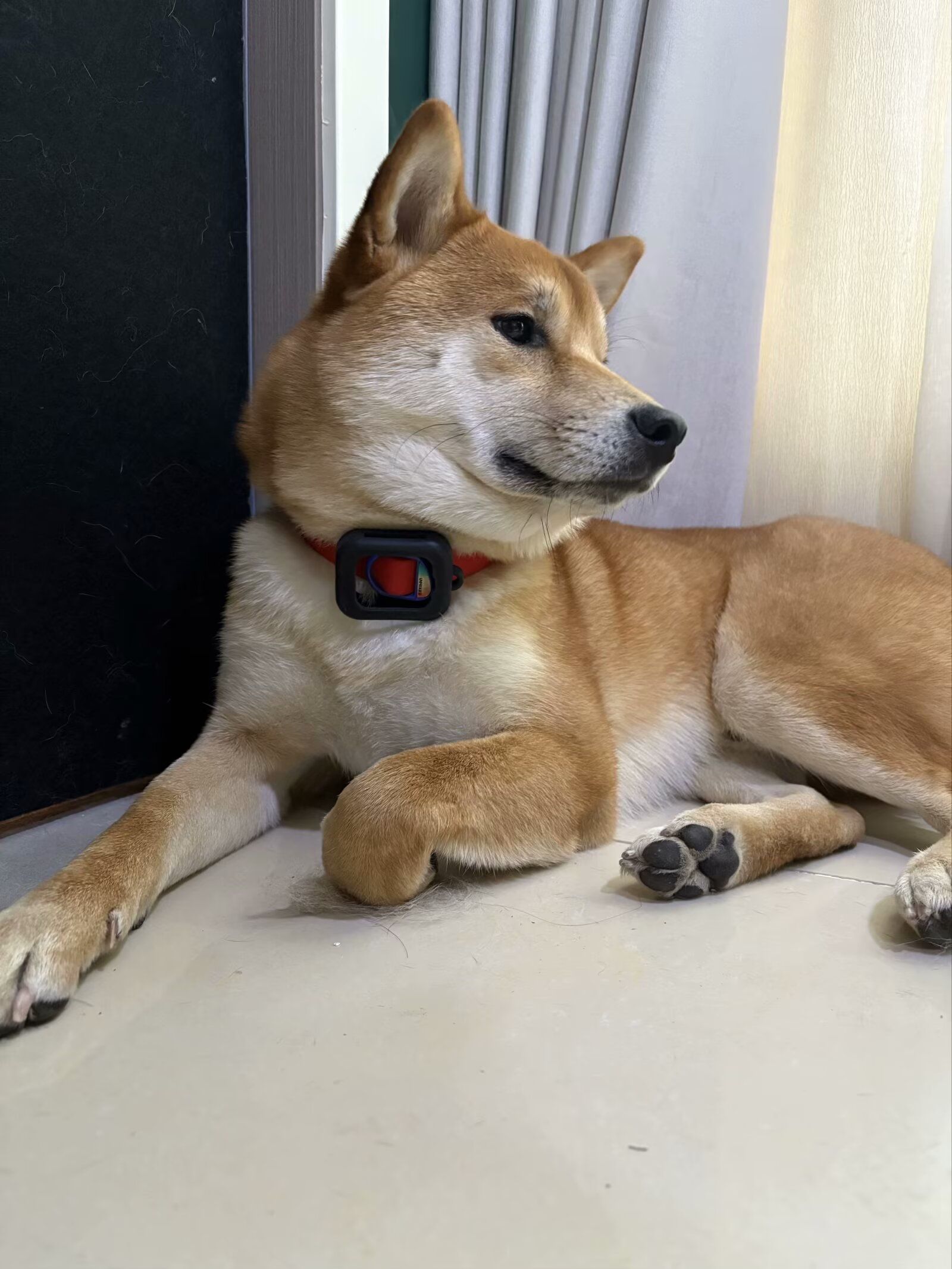 image-7