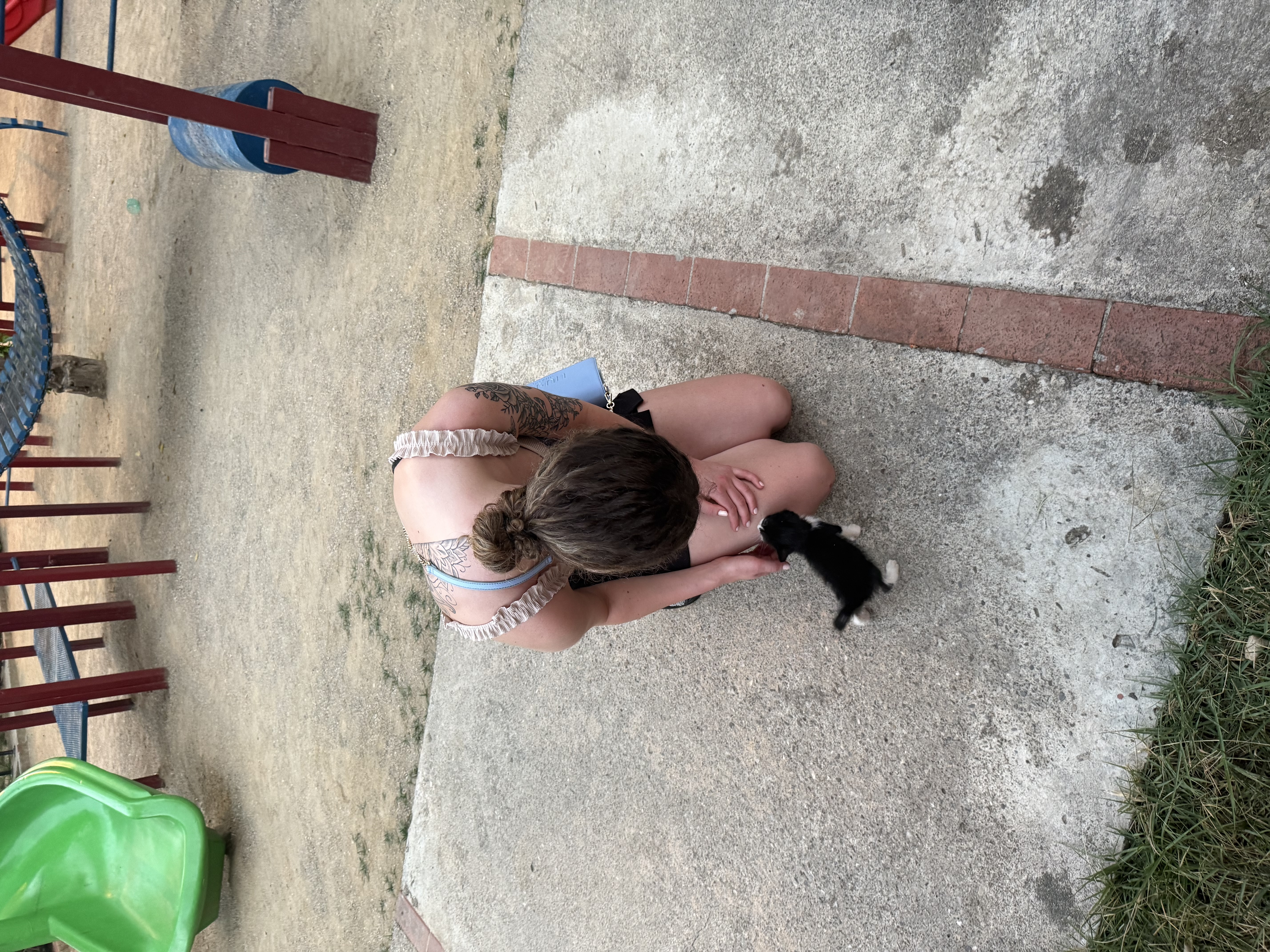 image-9