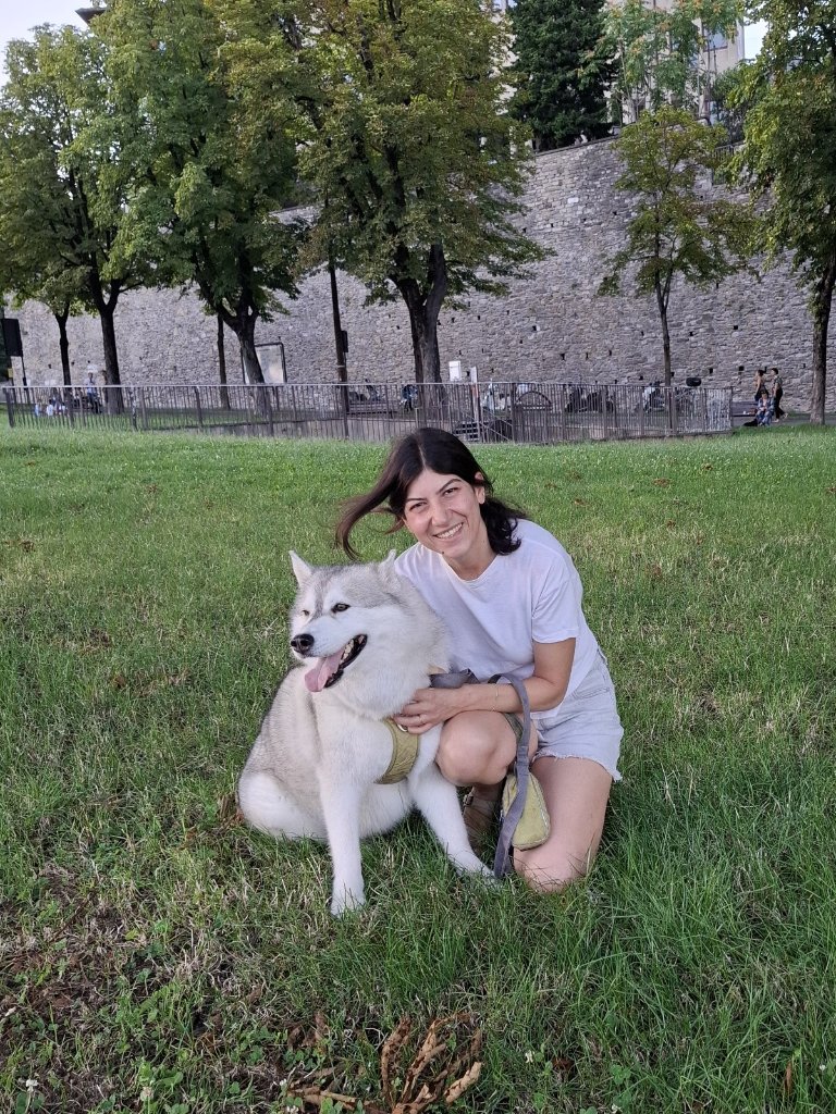 image-11