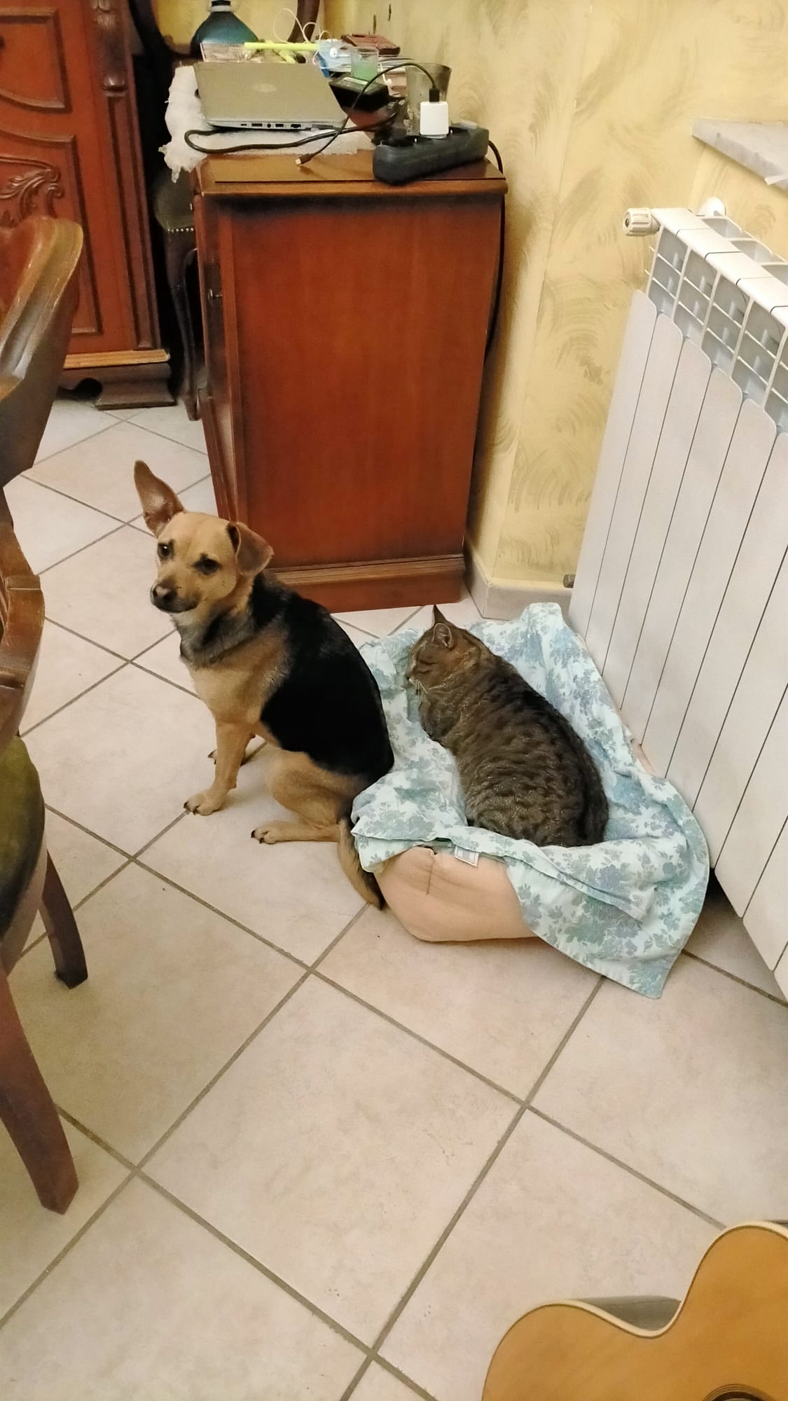 image-8