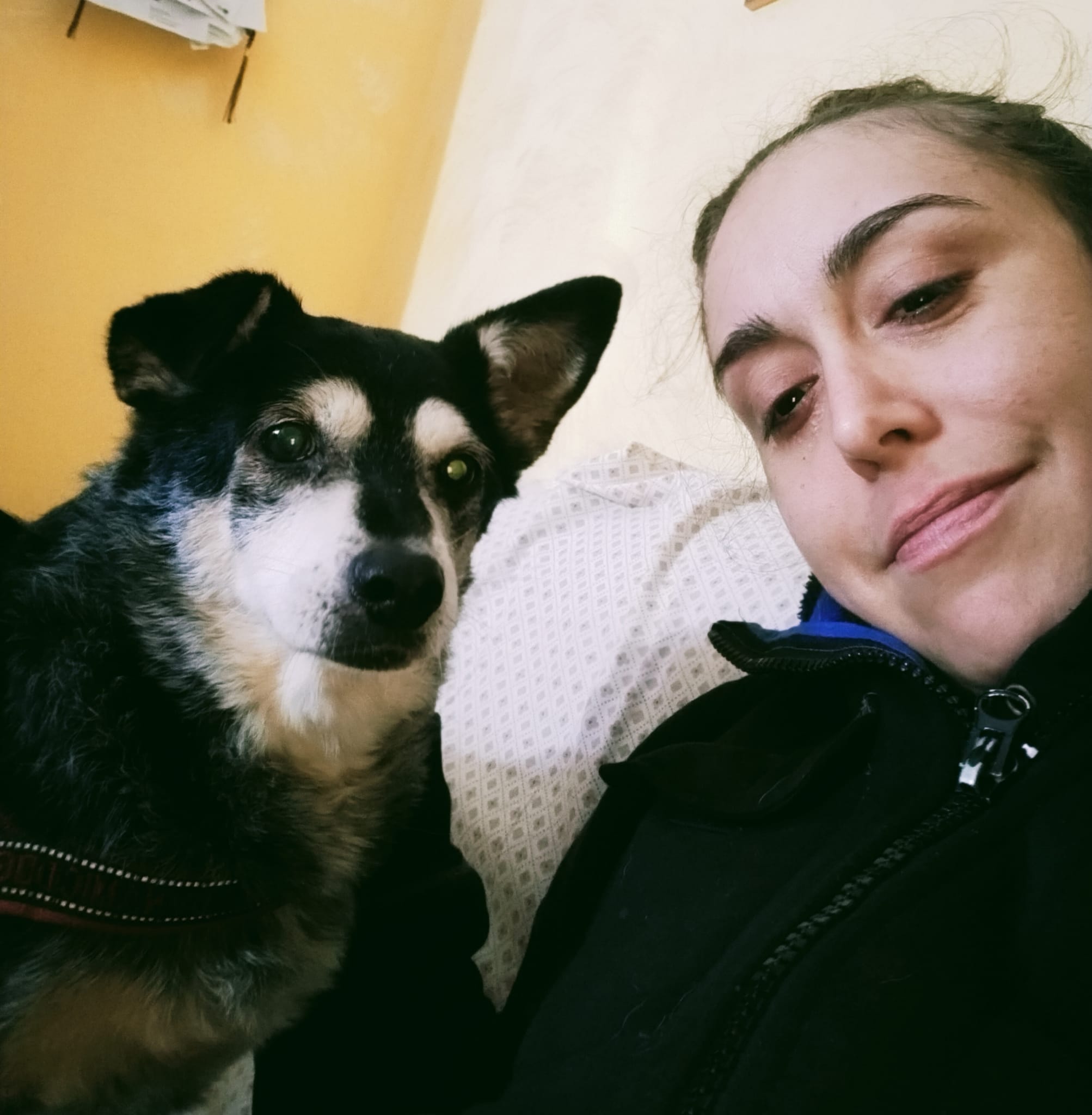 image-3