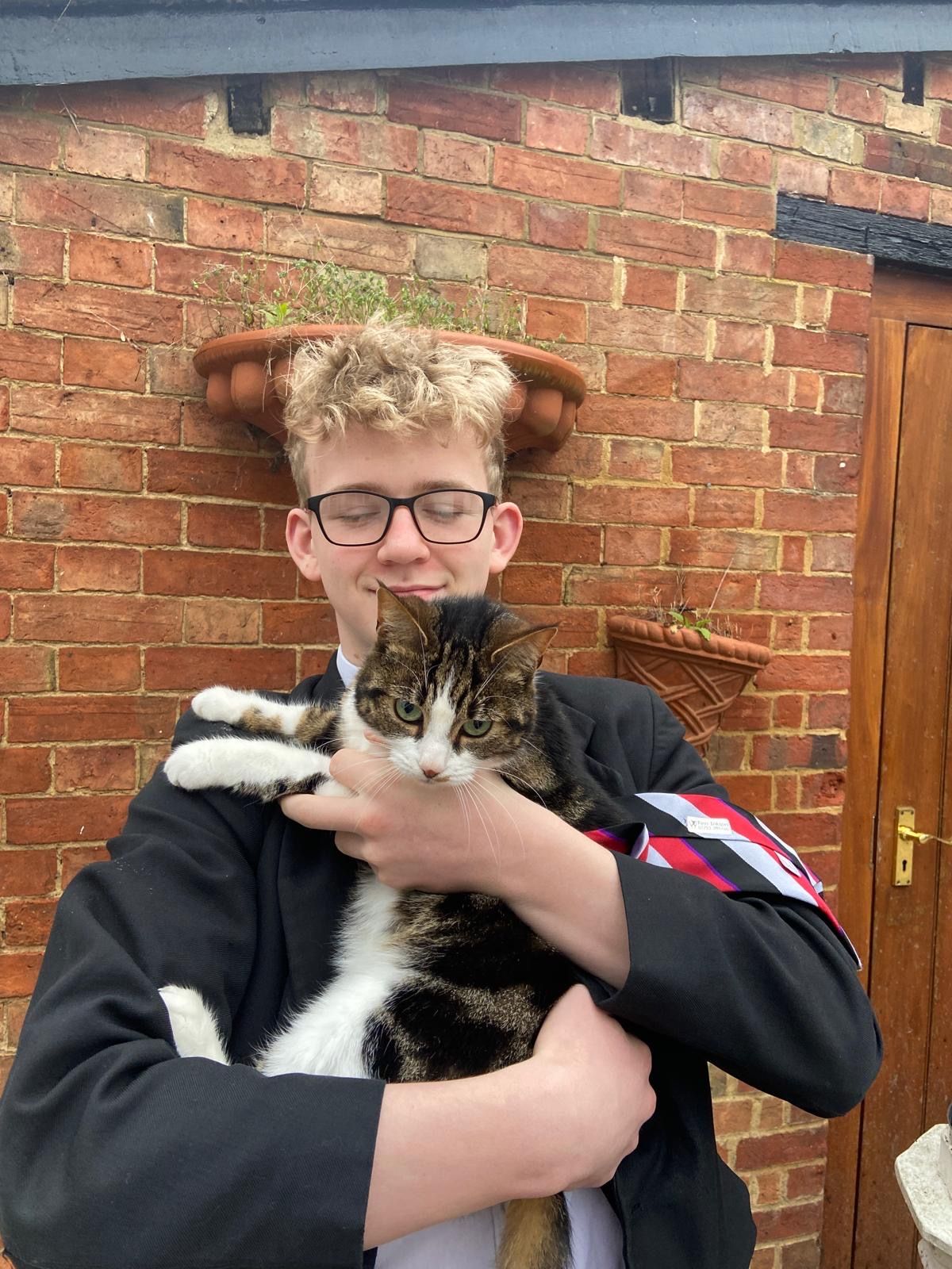 image-6