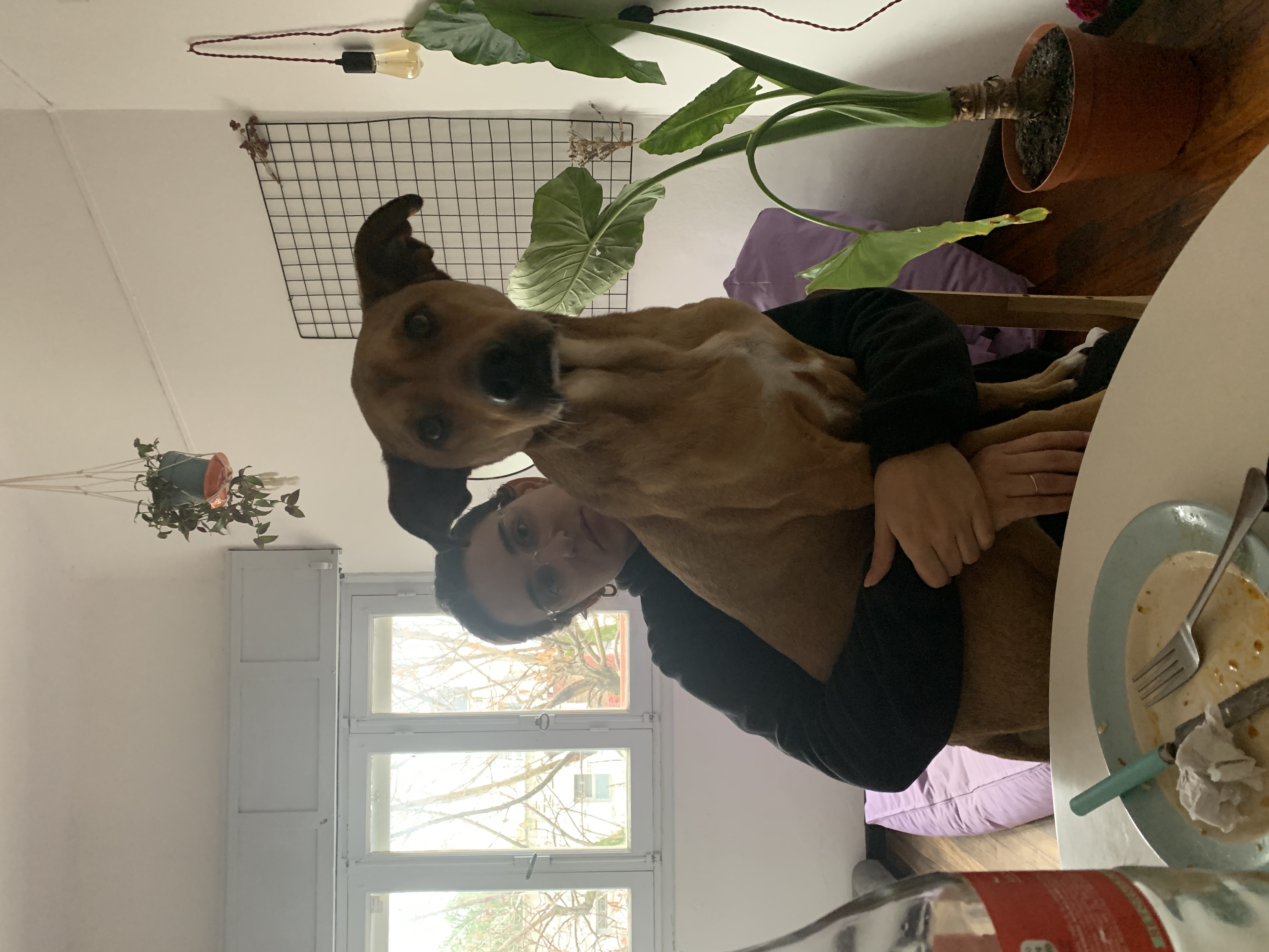 image-7