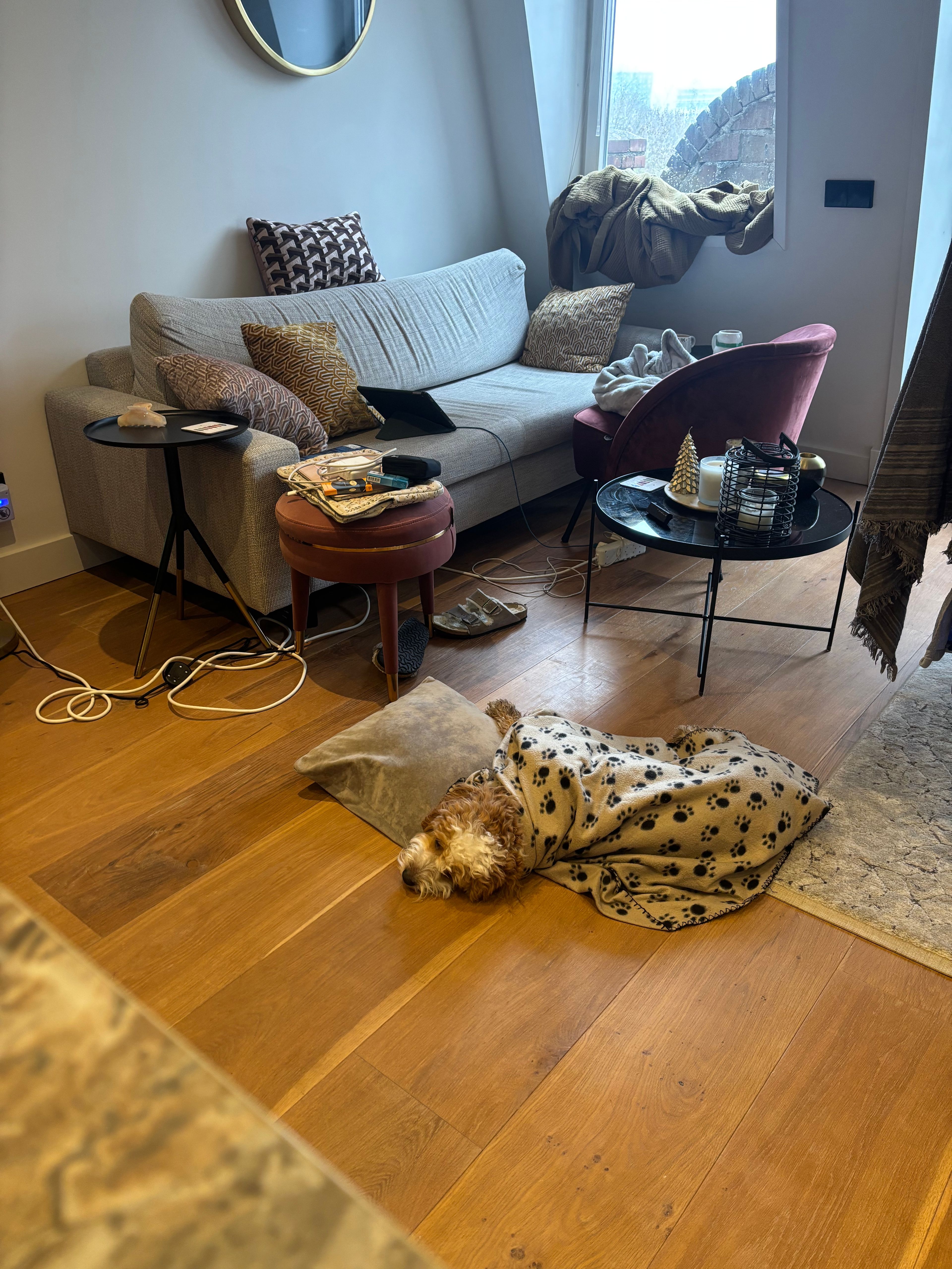 image-12