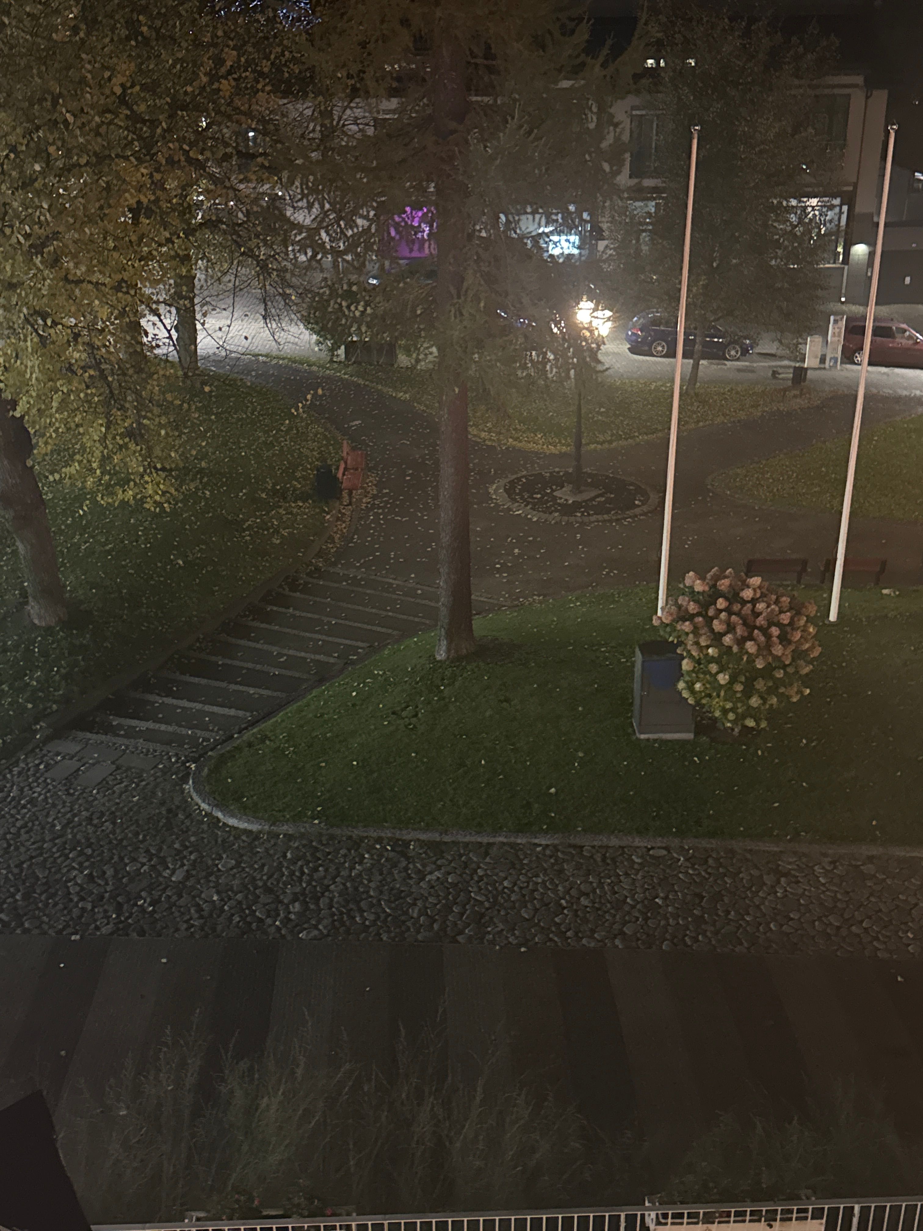 image-11