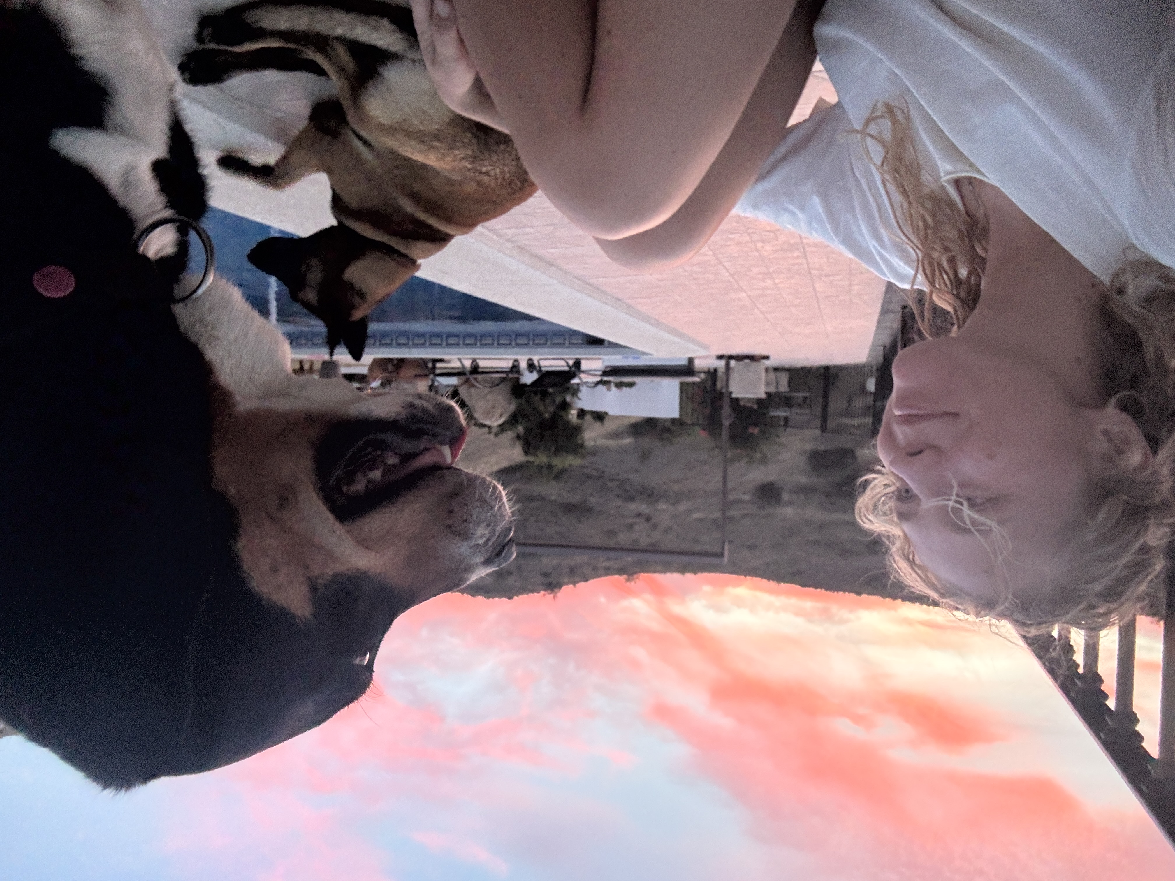 image-0