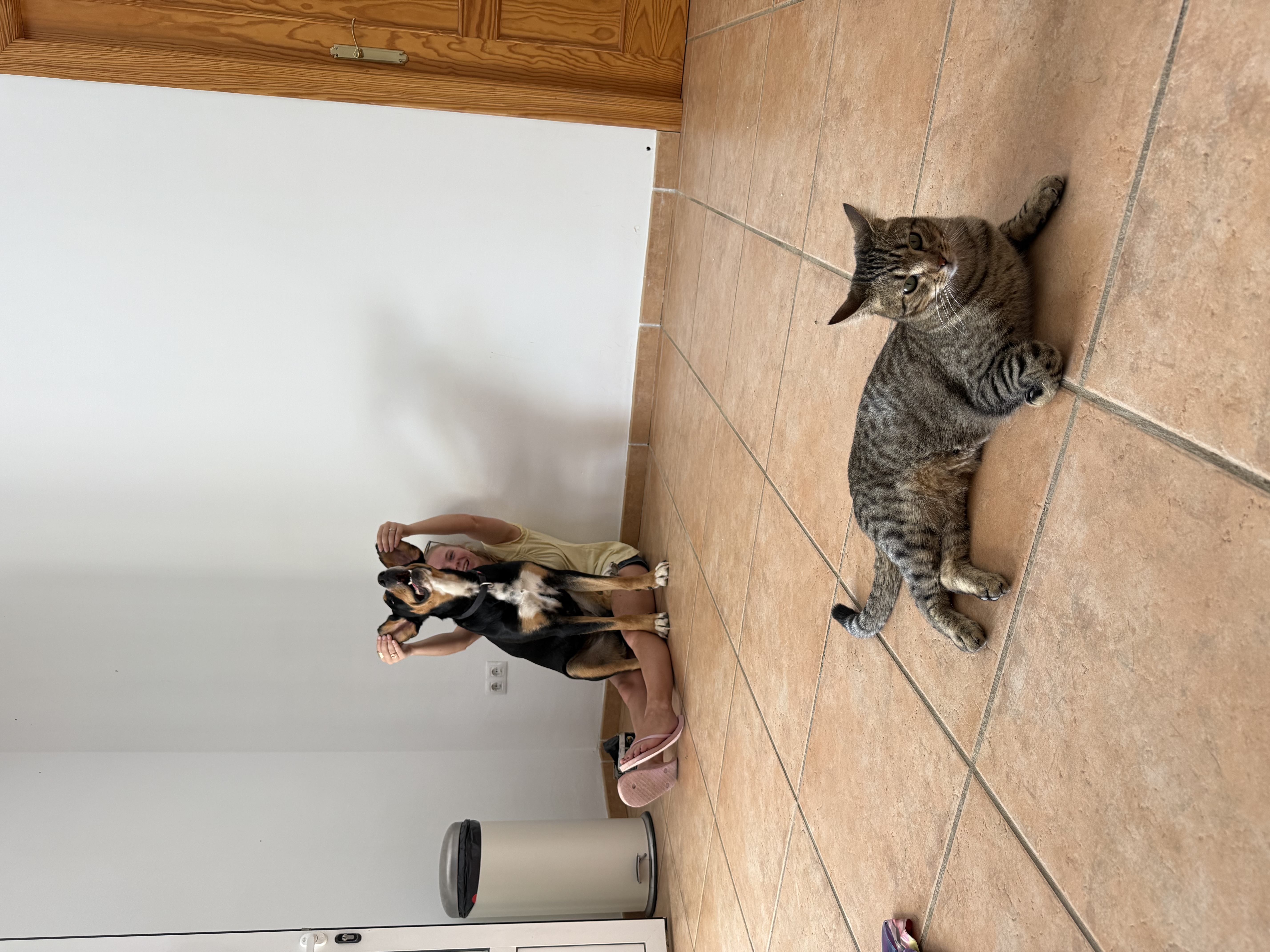 image-6