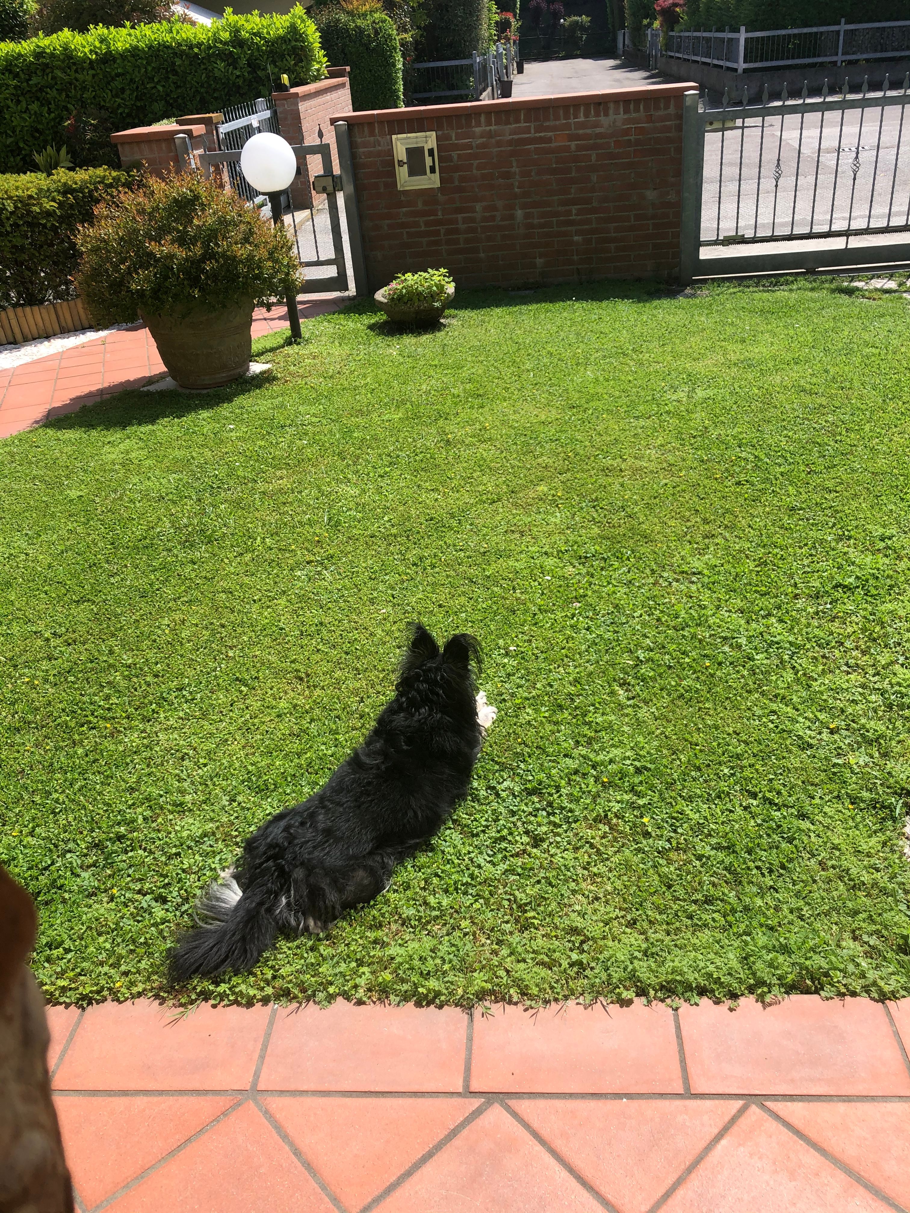 image-4