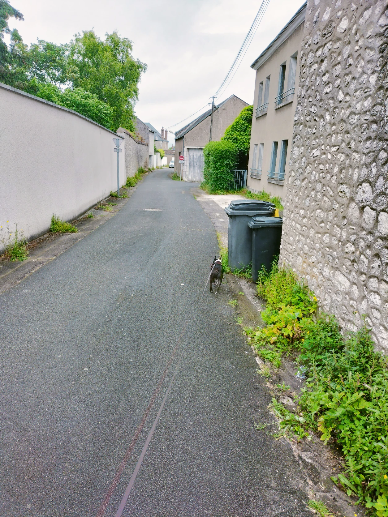 image-19