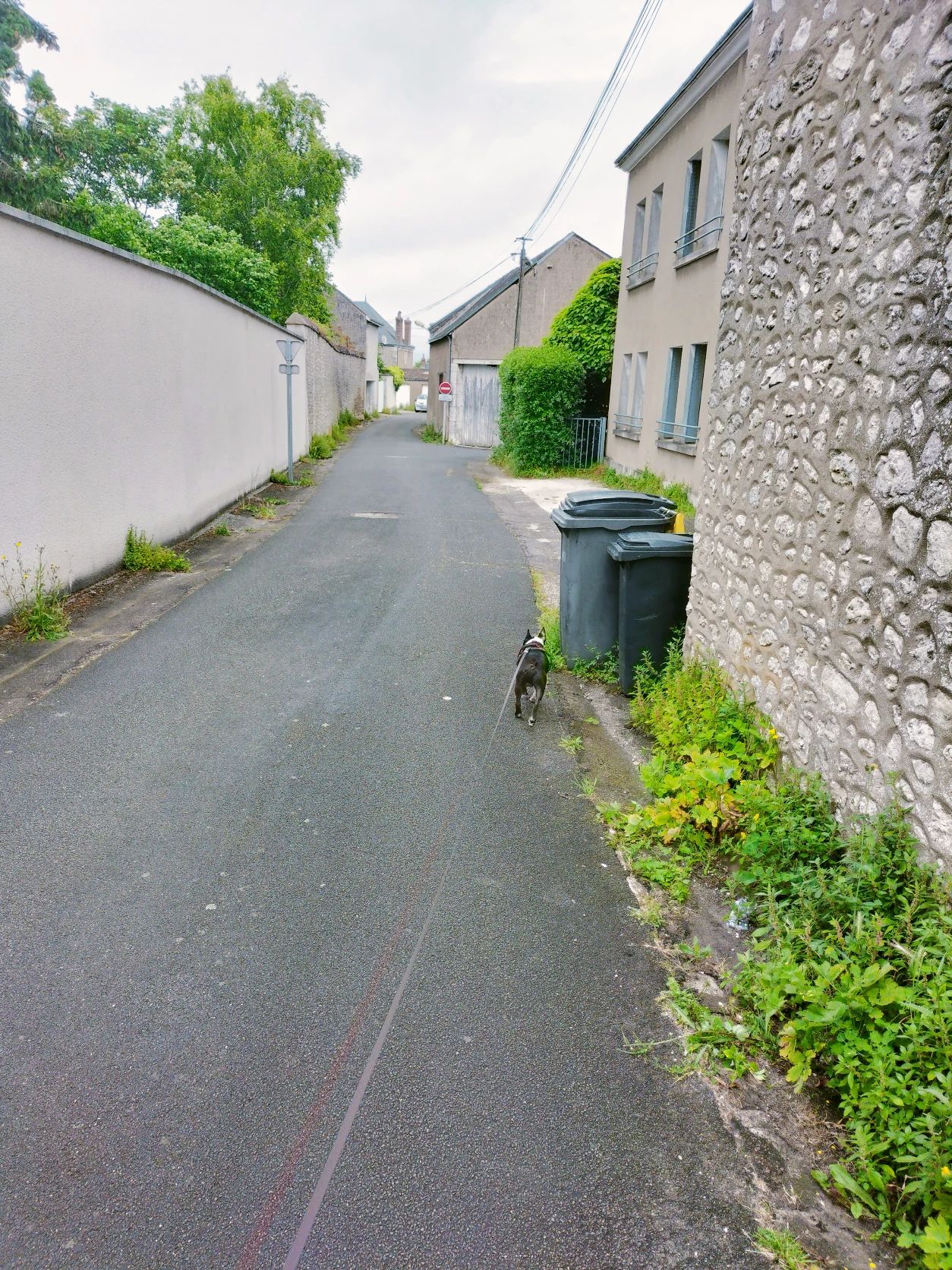 image-19