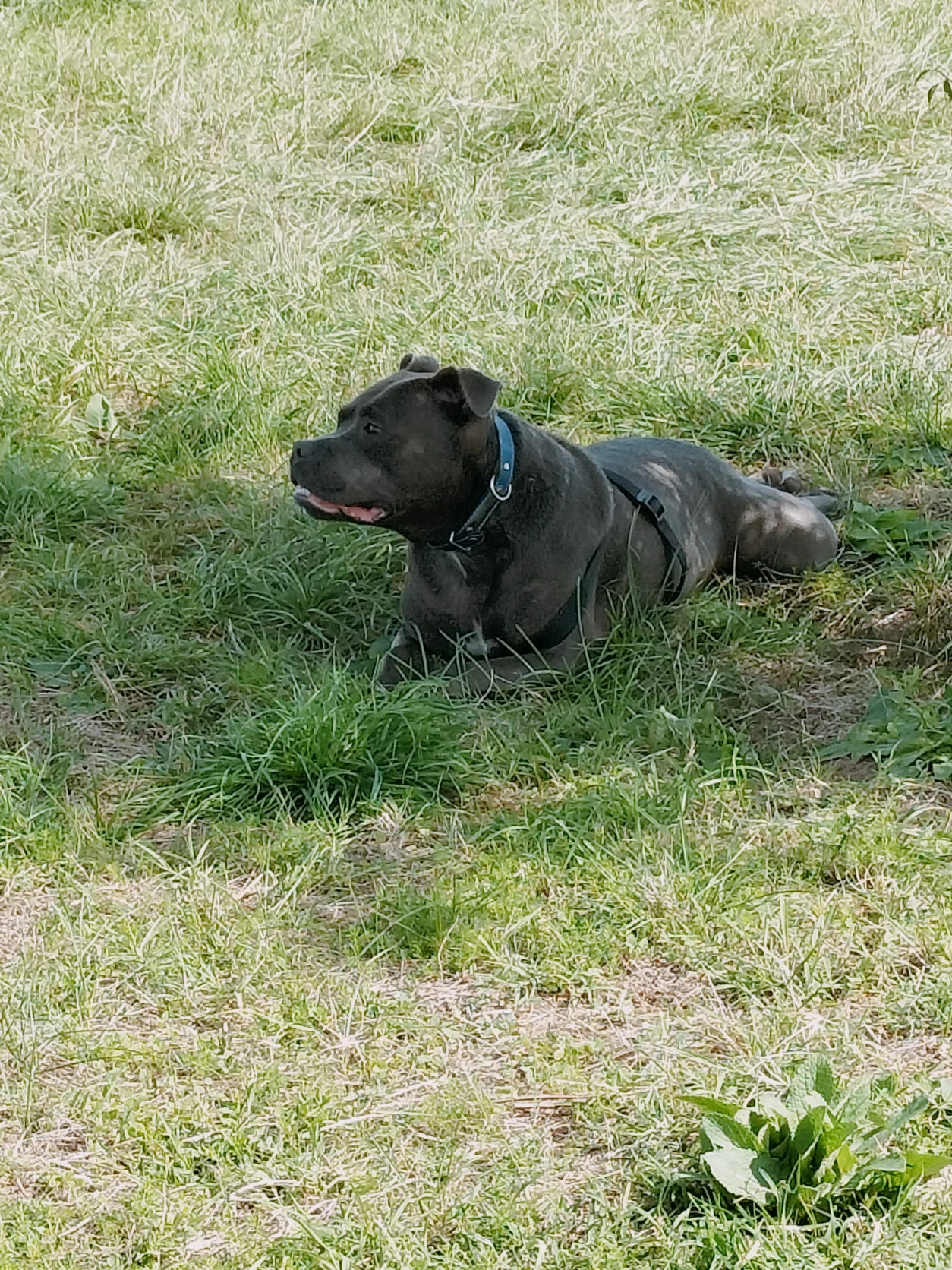 image-5