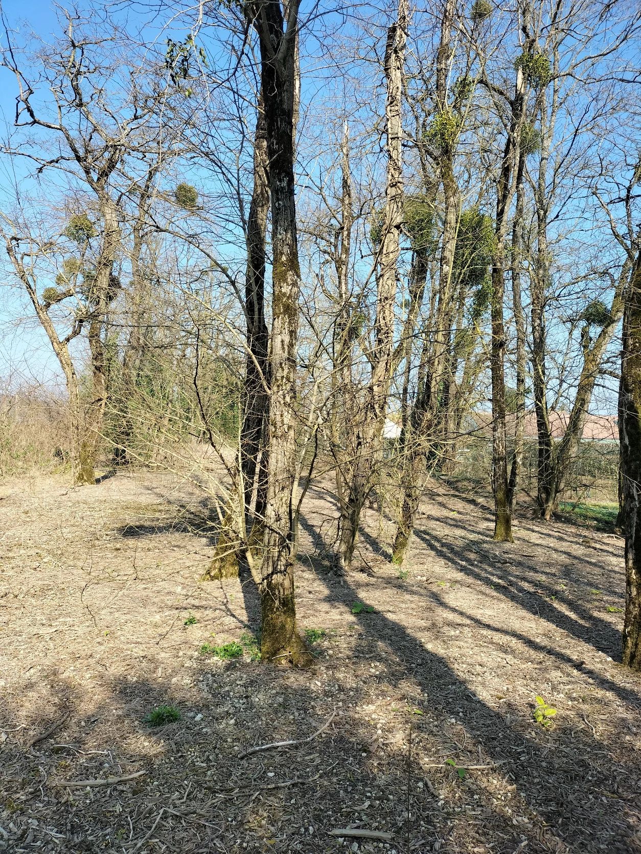 image-20