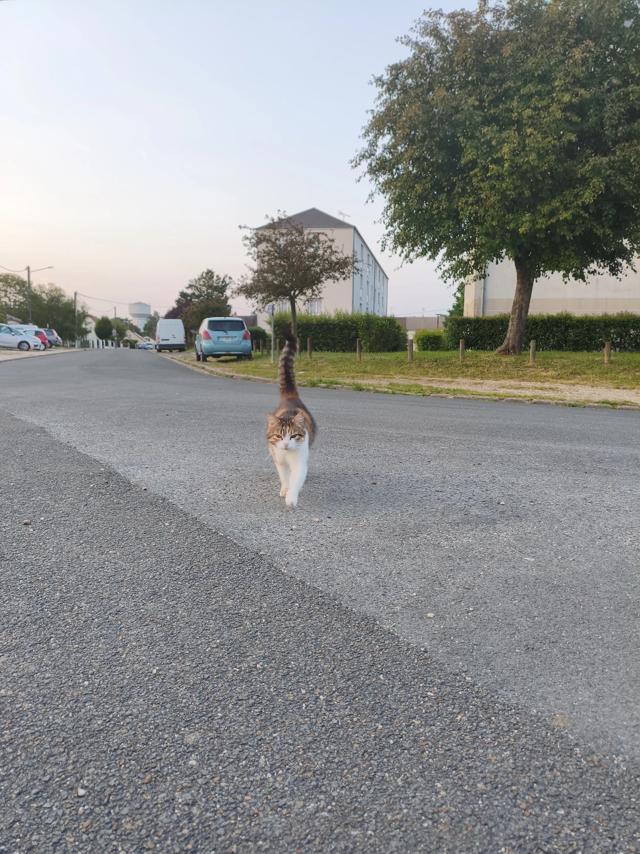 image-12