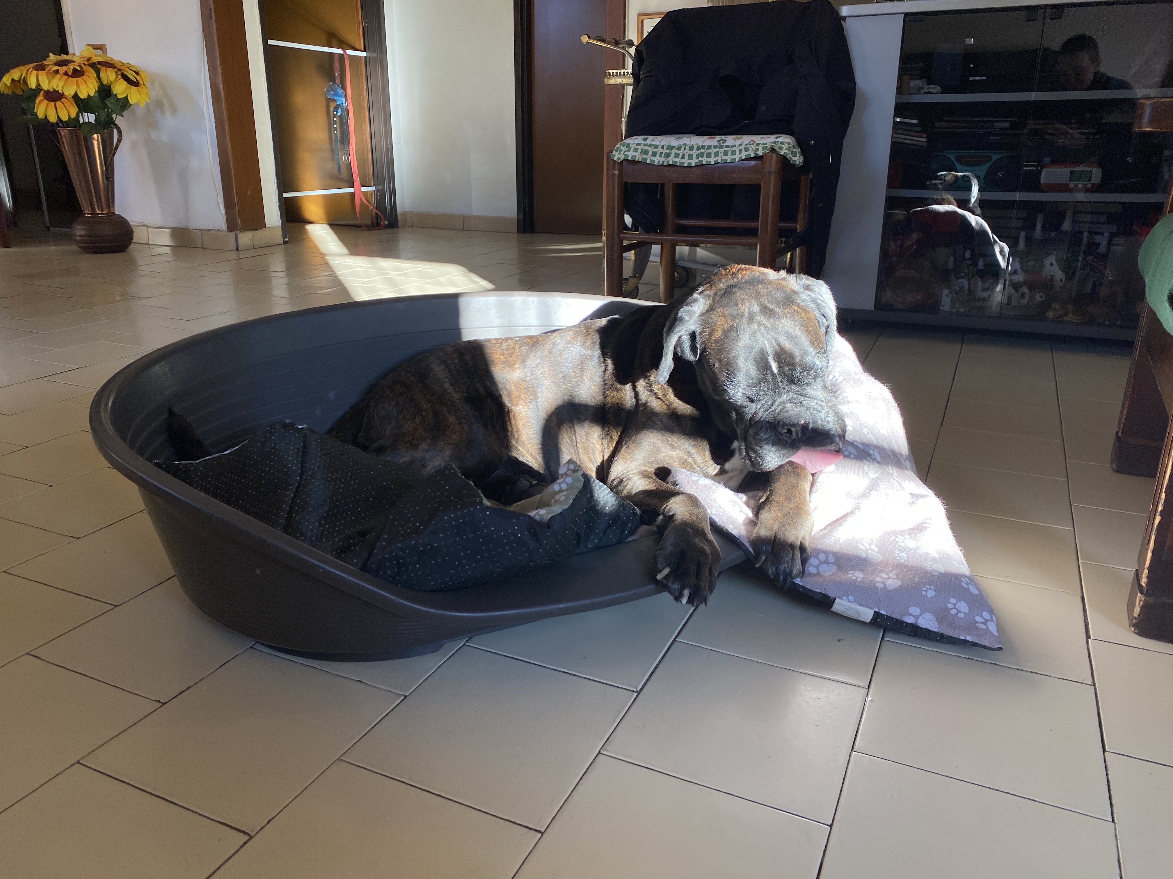 image-6