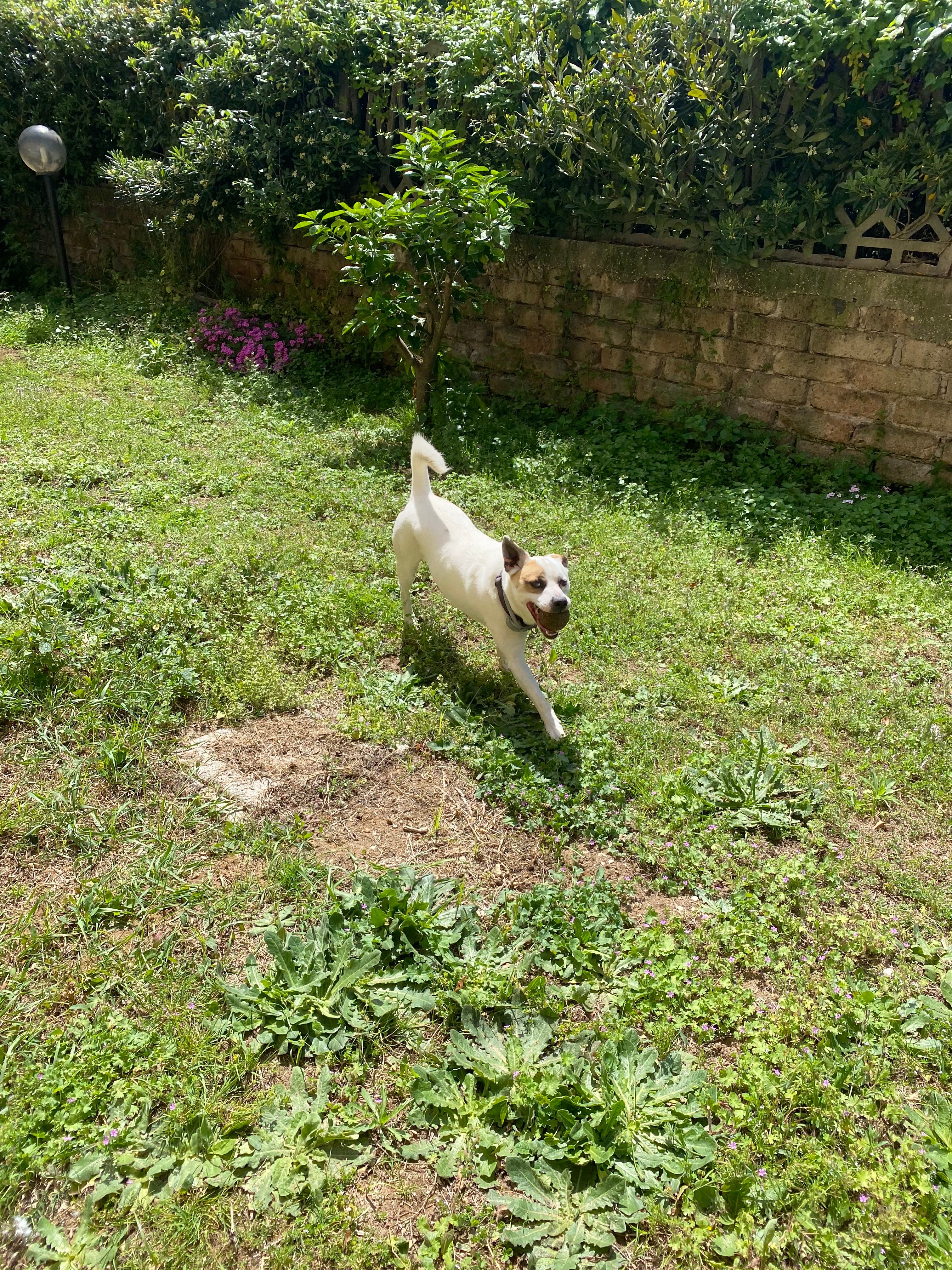 image-10