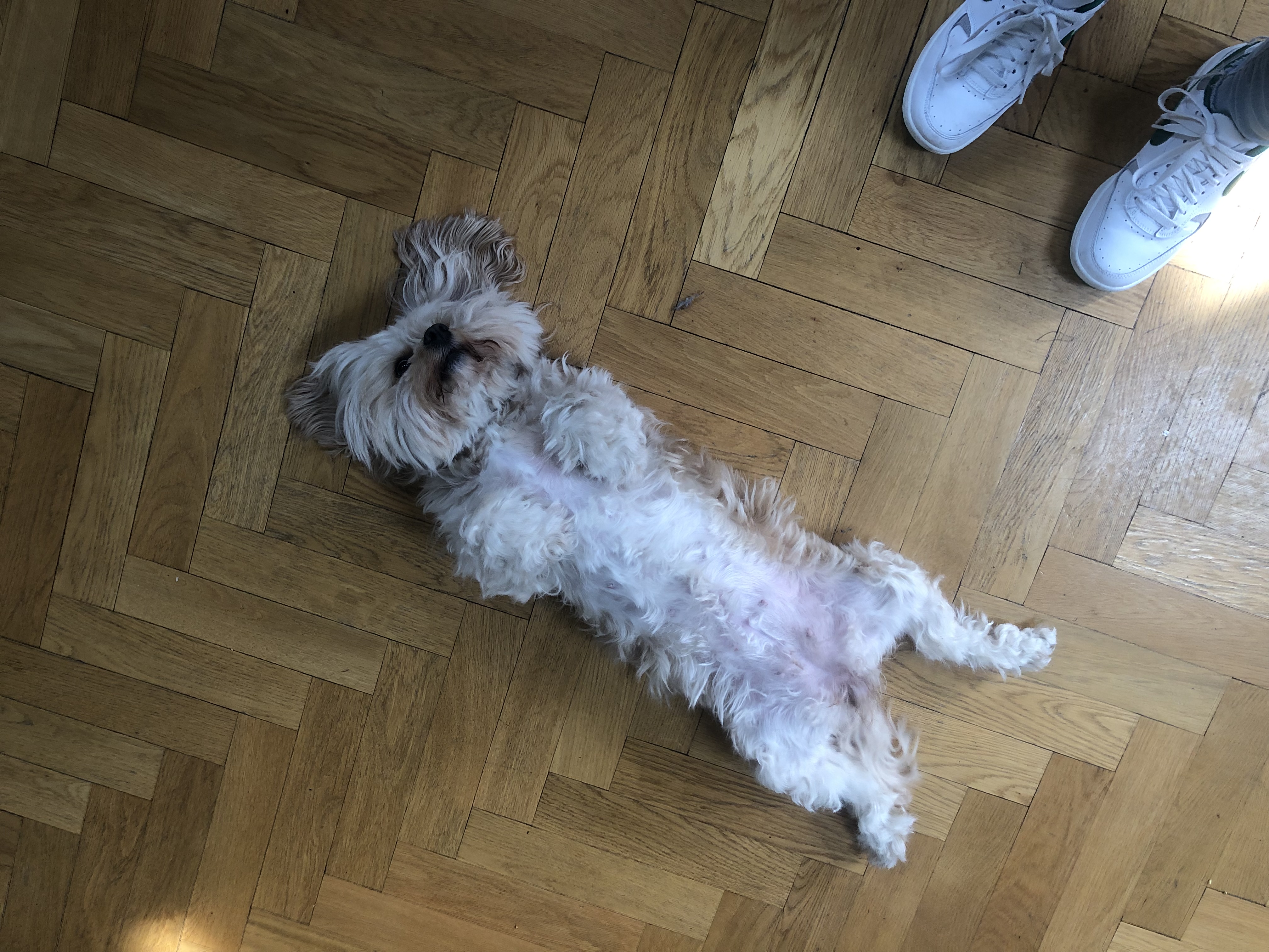 image-9