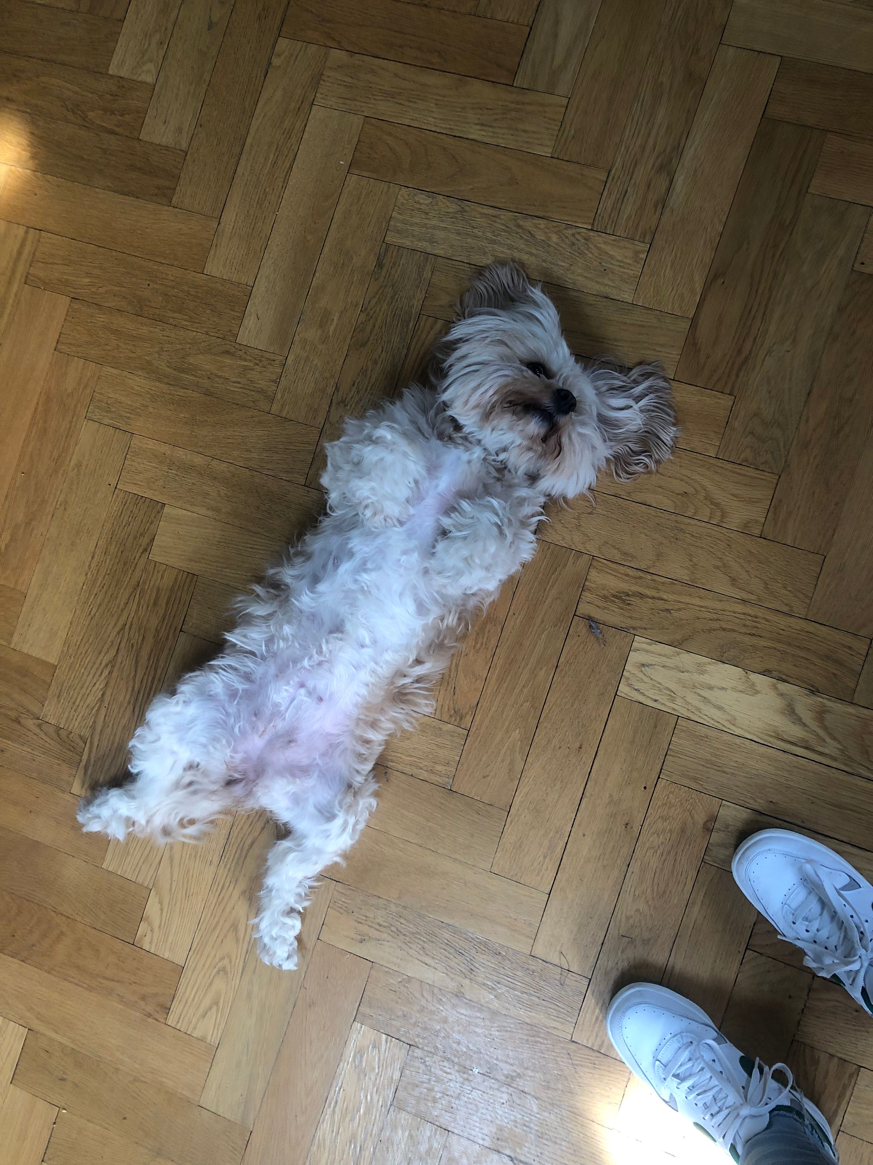 image-9