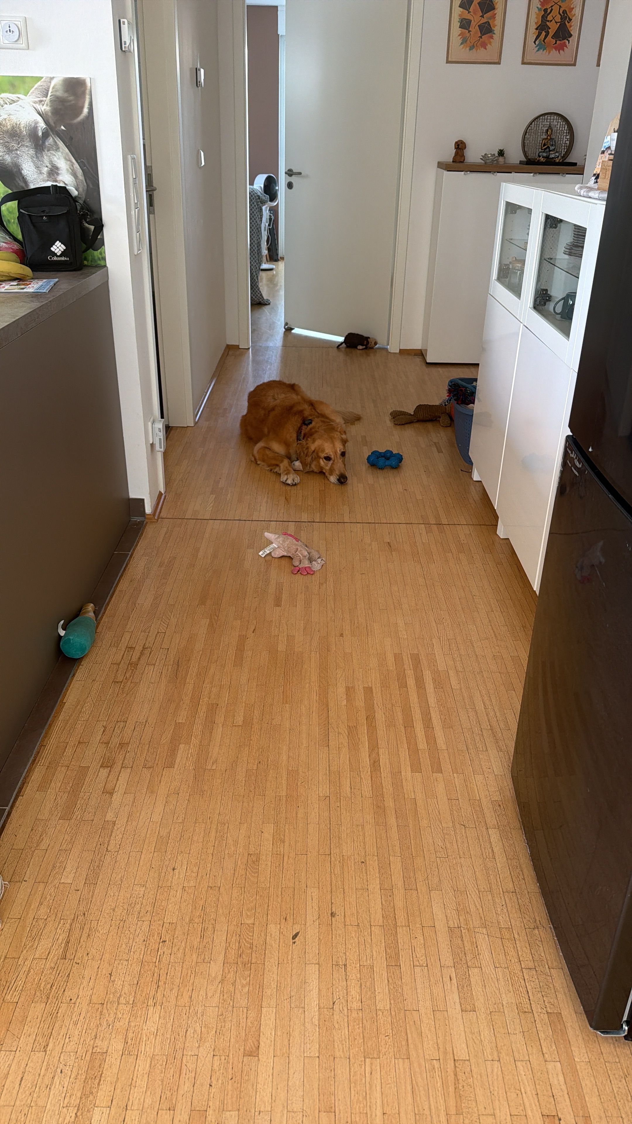 image-13