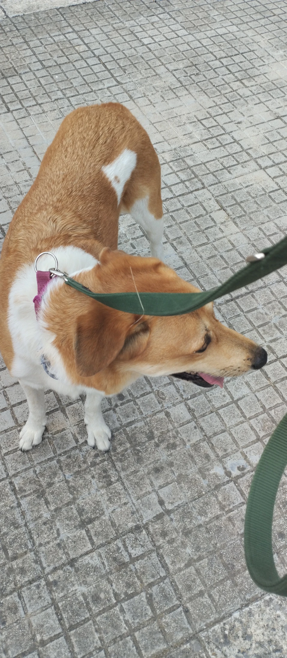 image-23