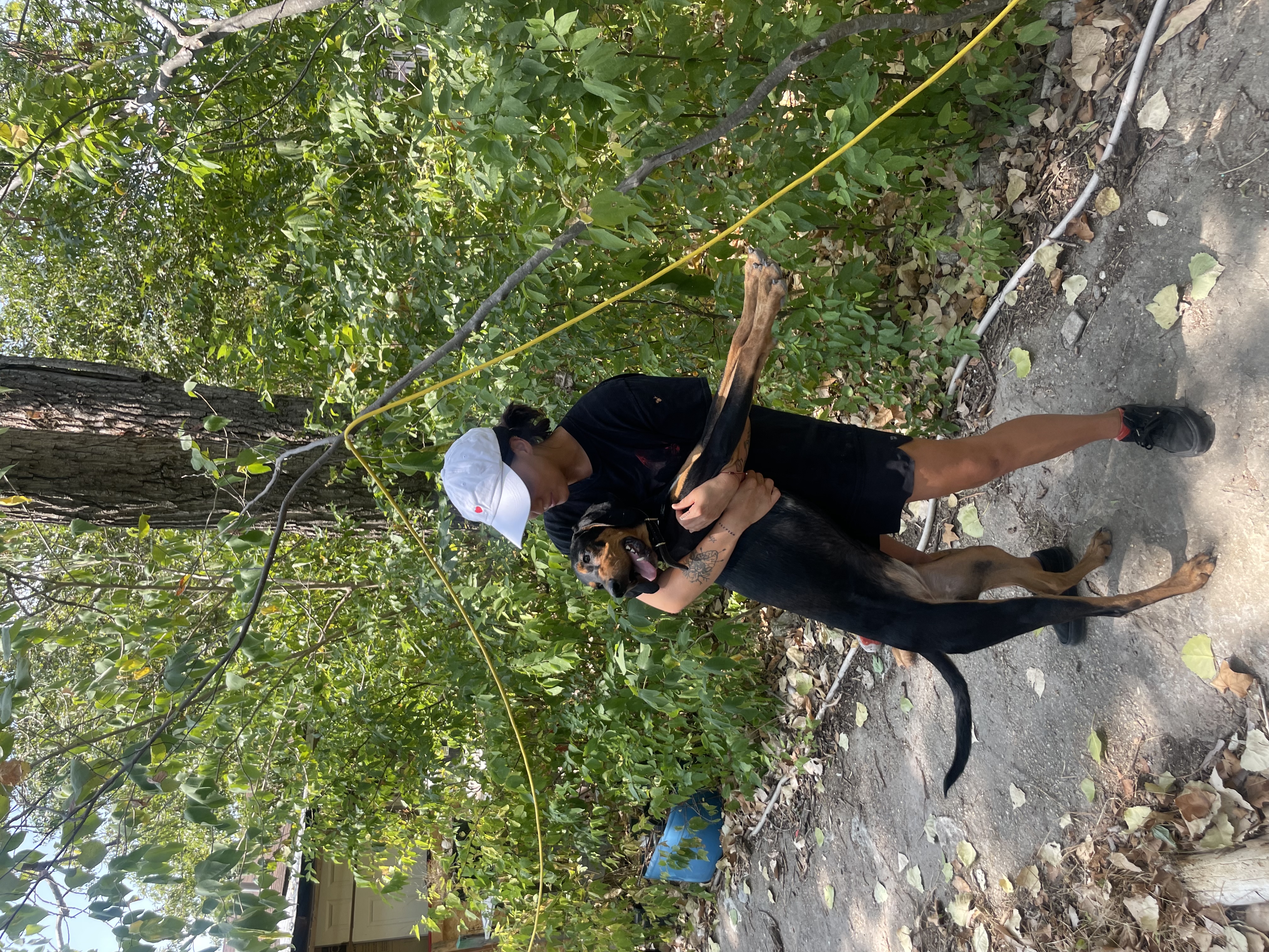 image-3