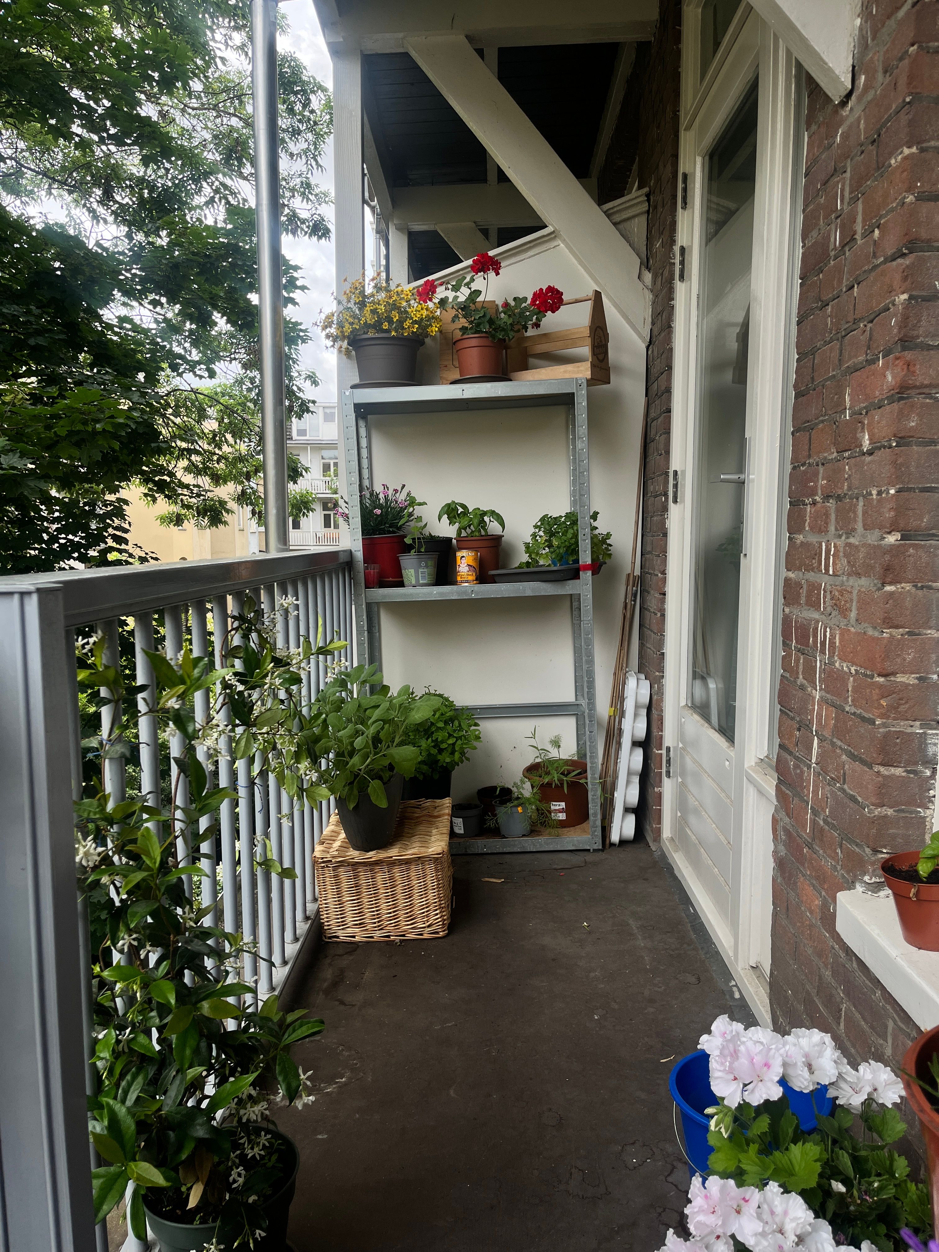 image-20