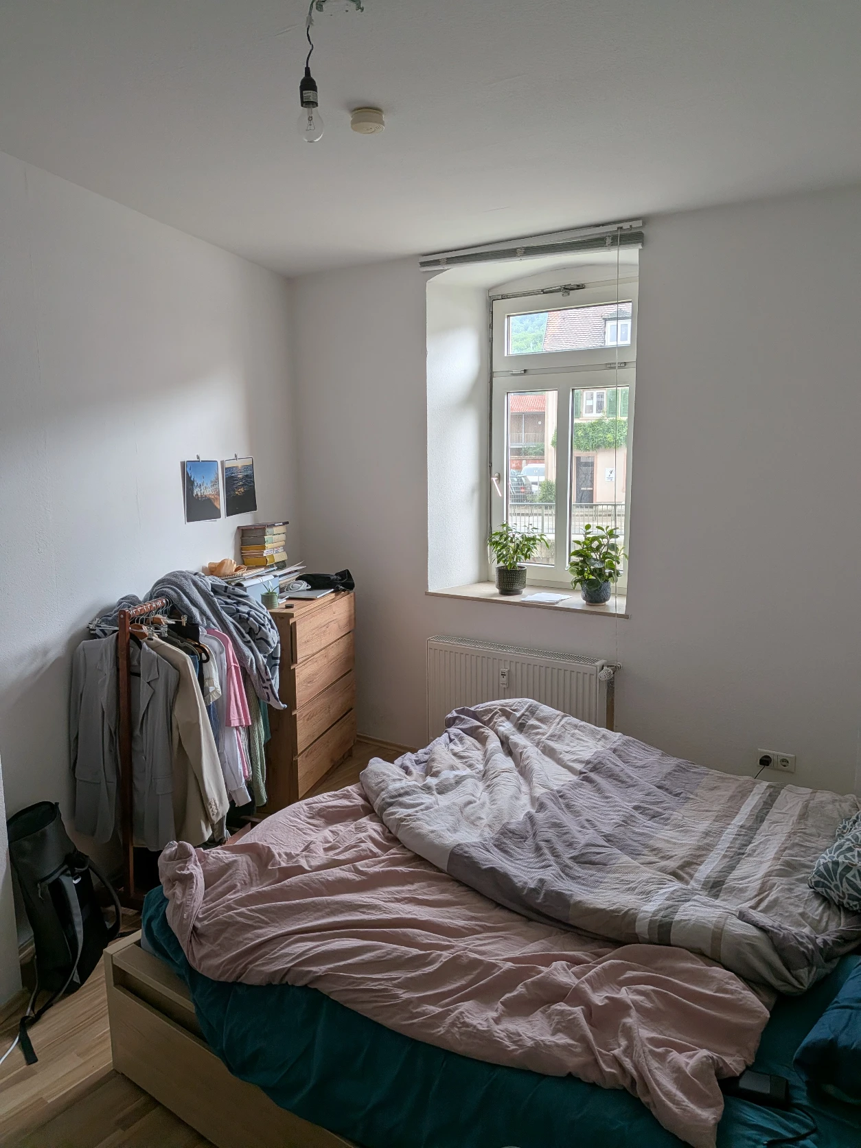 image-19