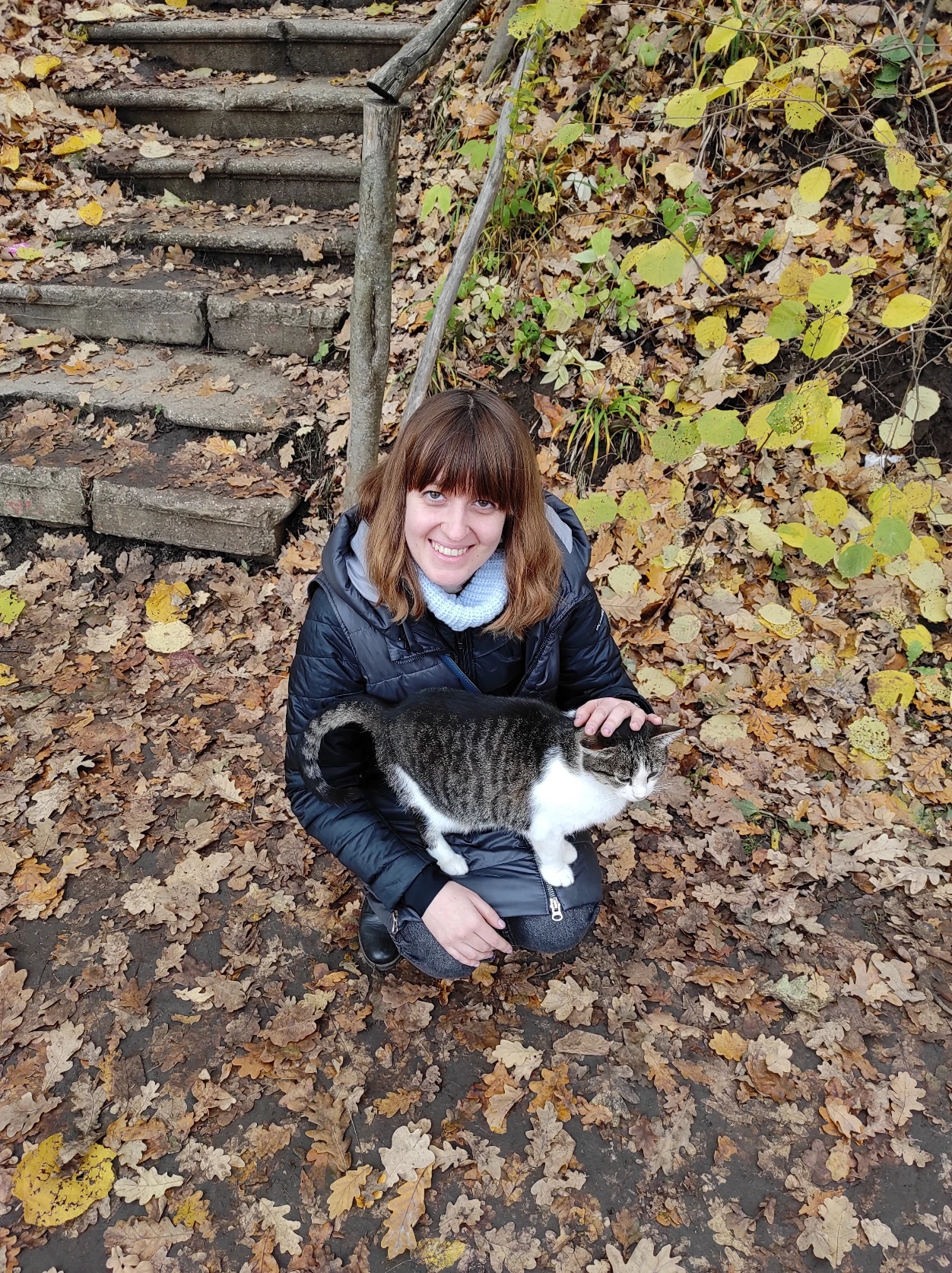 image-9