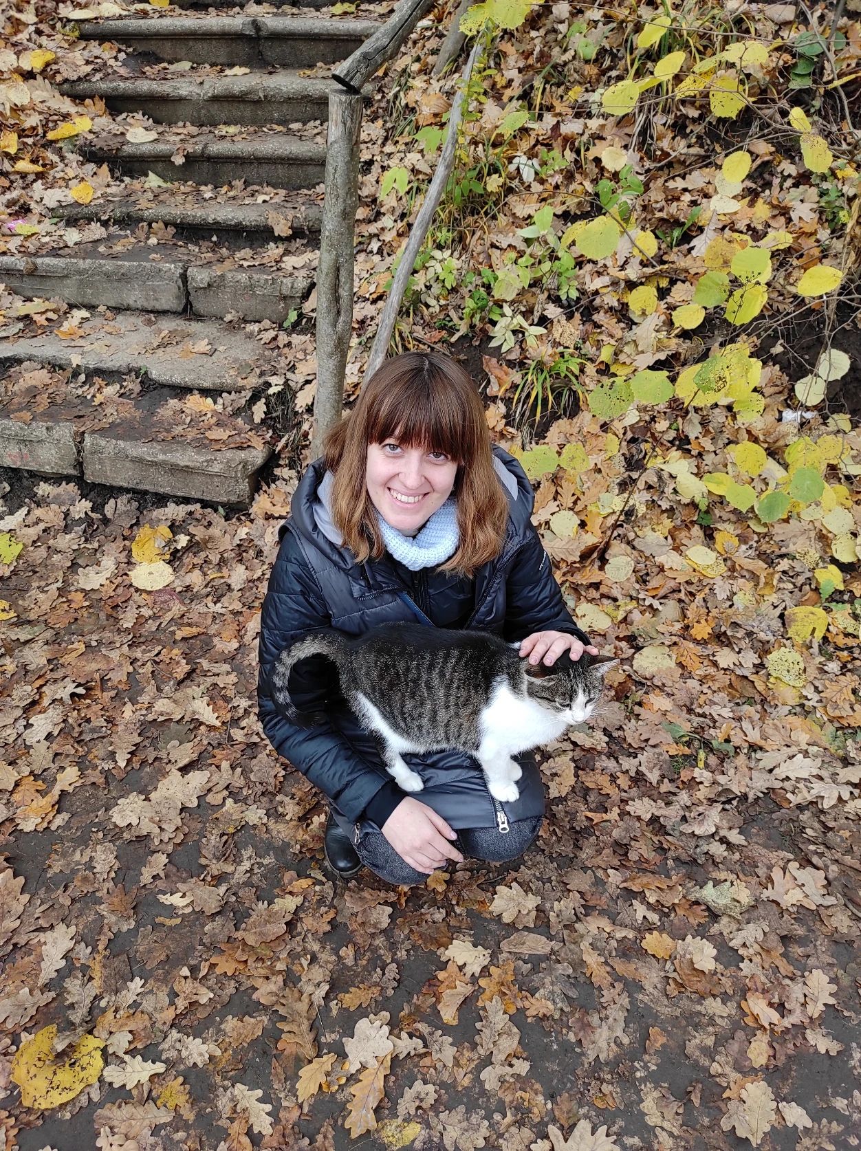 image-9