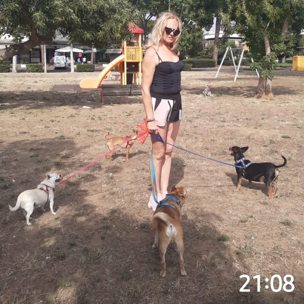 Tyson, Shony, Chanel, Nocciolina . ne ho 4