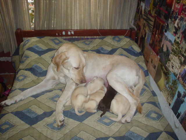 image-6