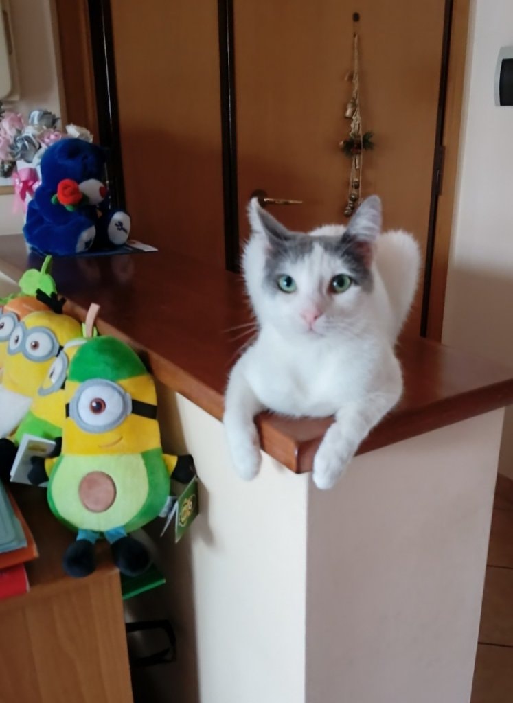 image-13