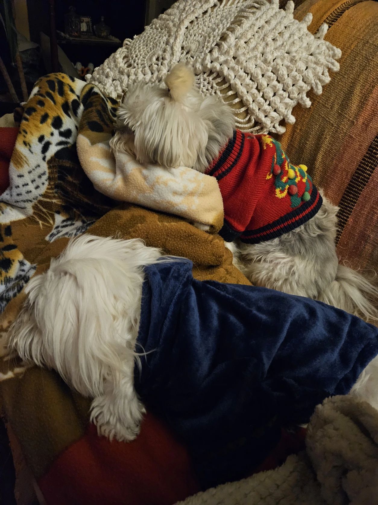 image-4