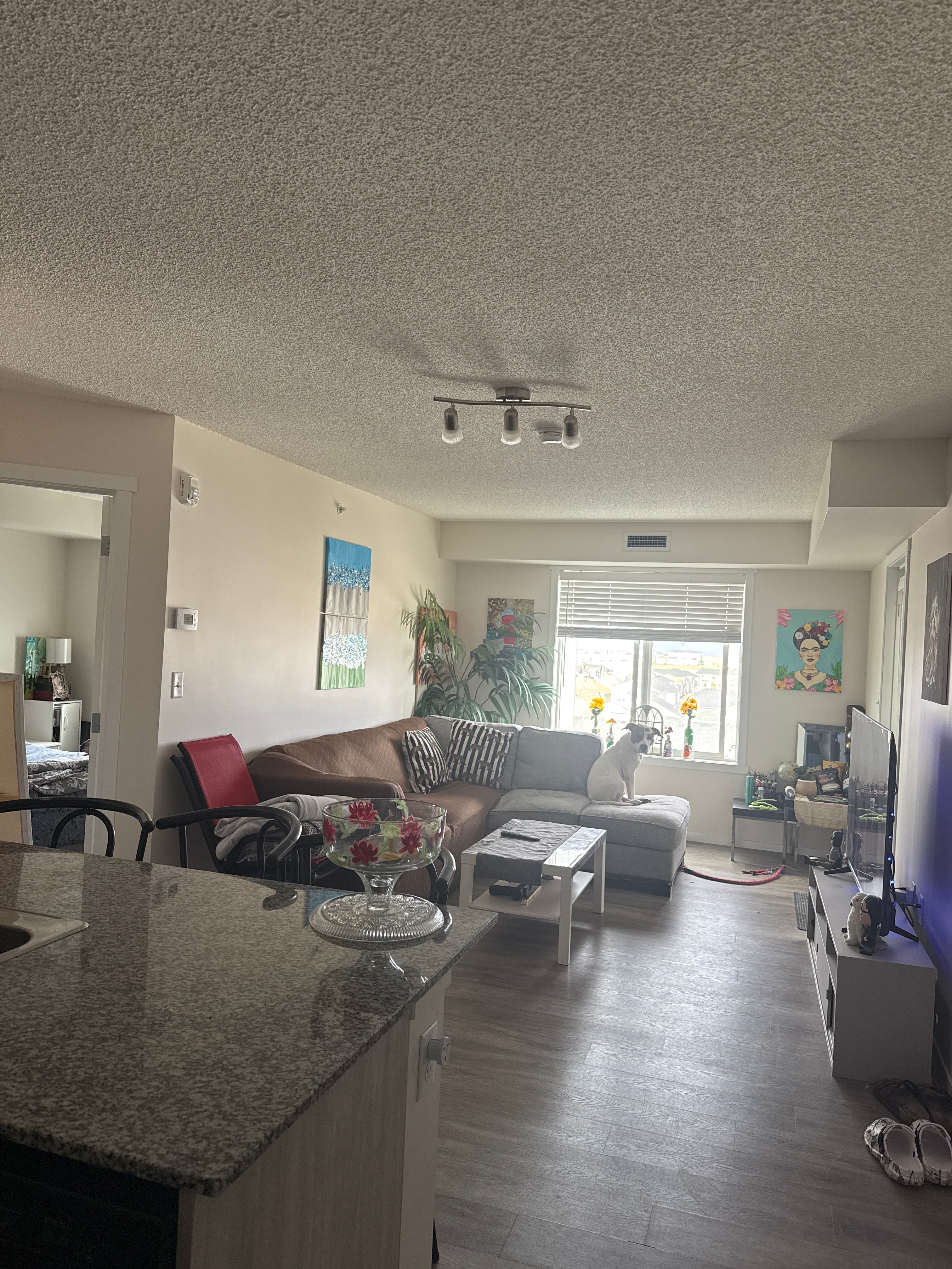 image-17
