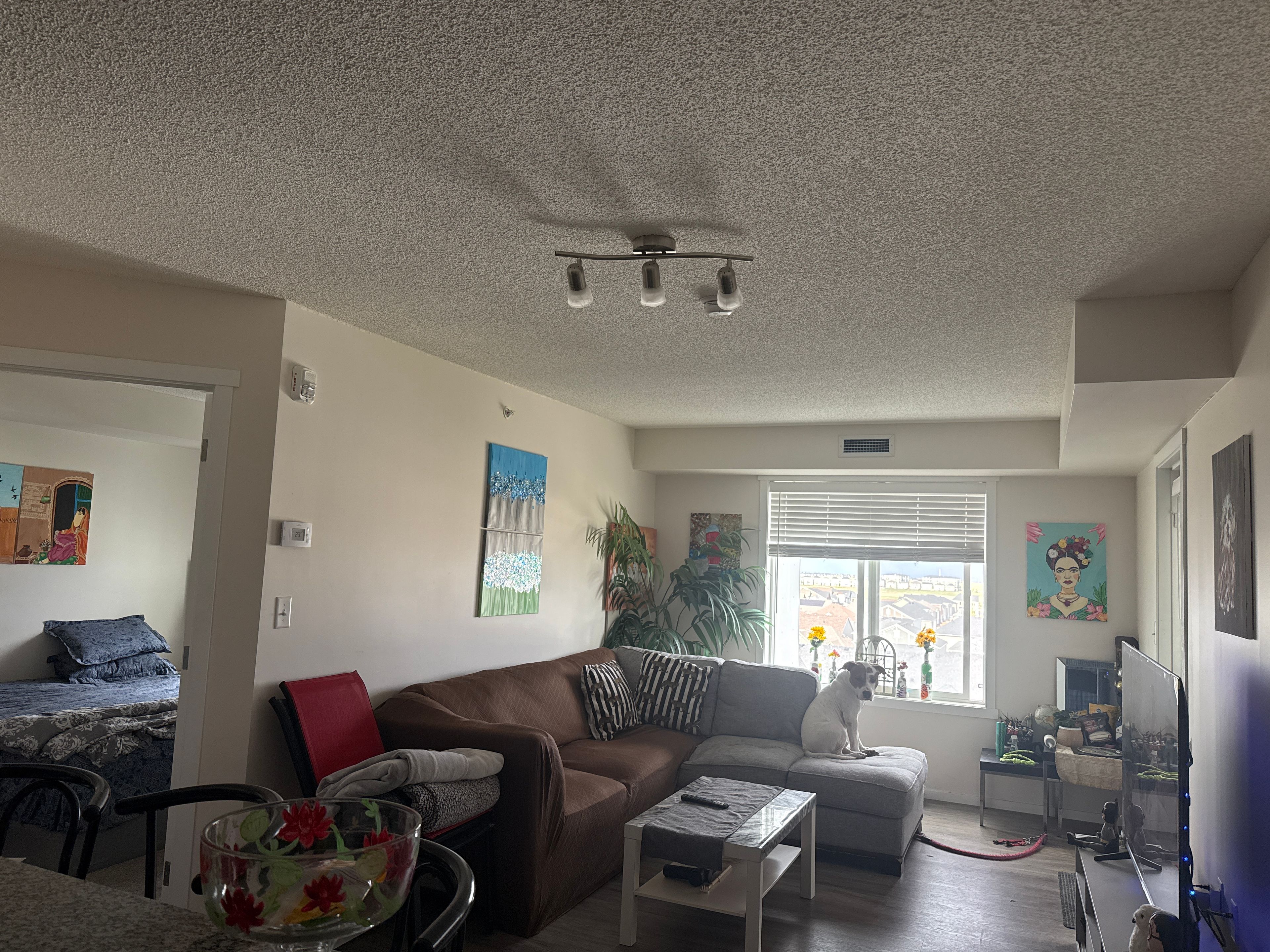 image-18
