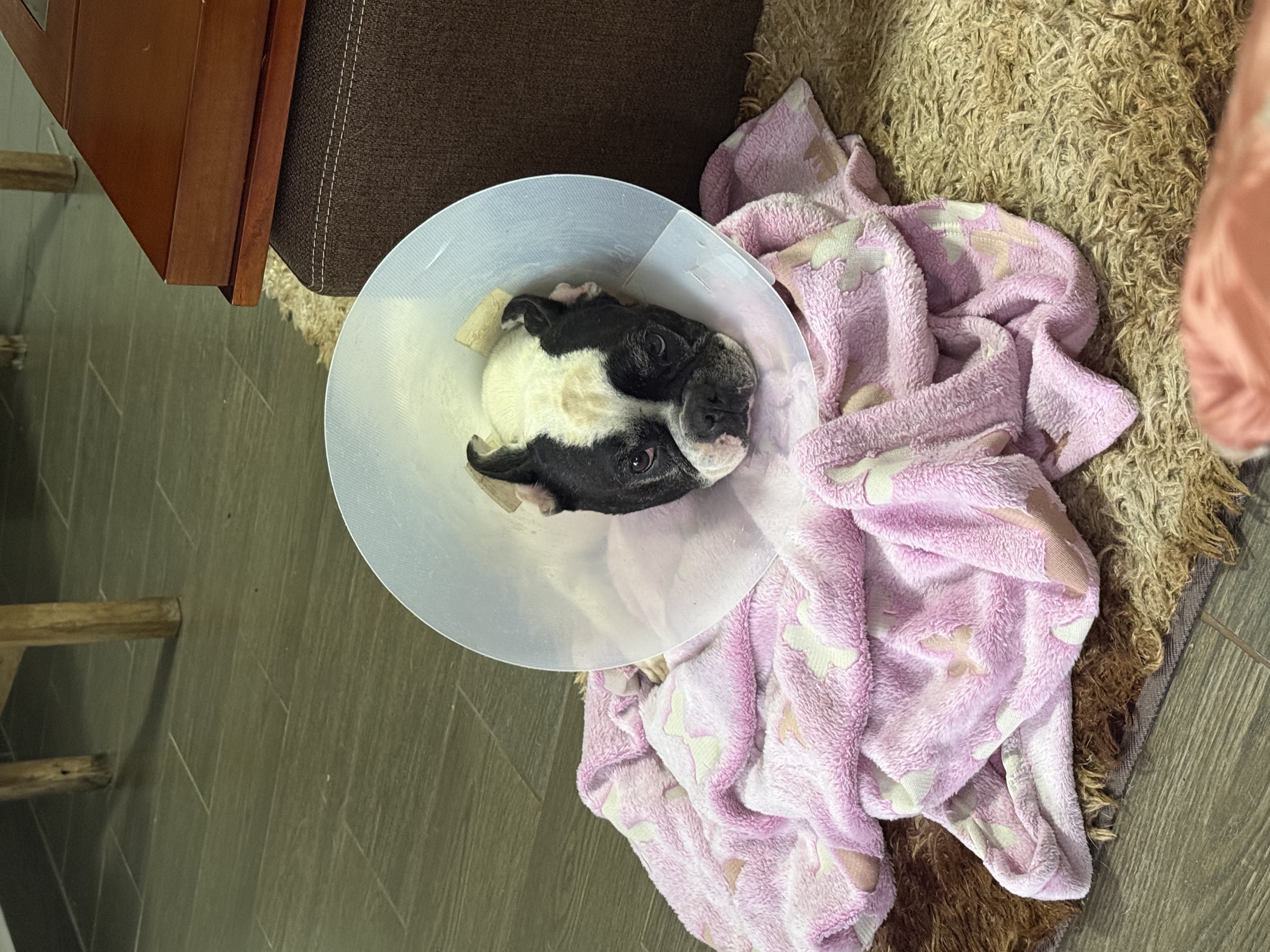 image-11