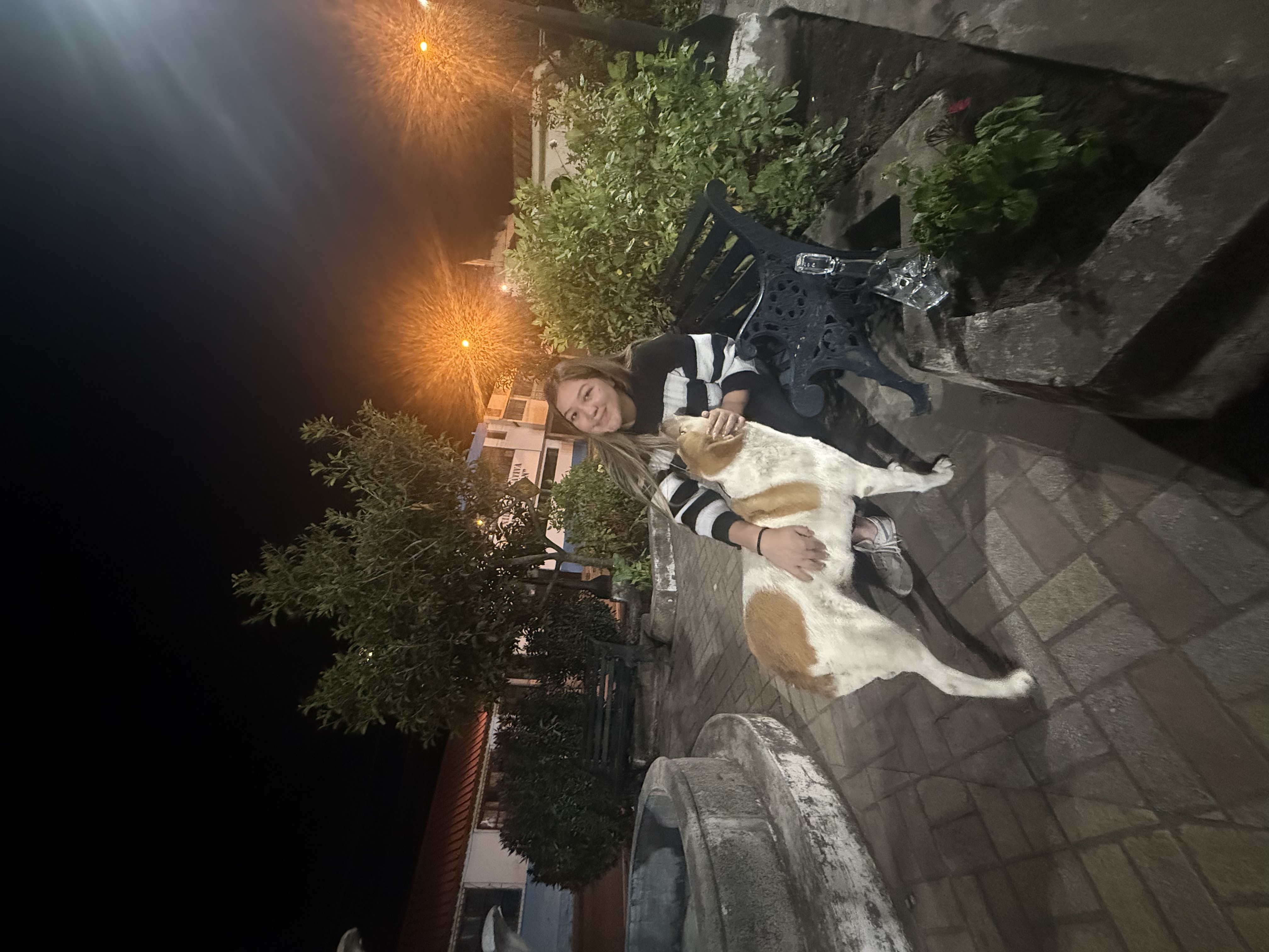 image-8
