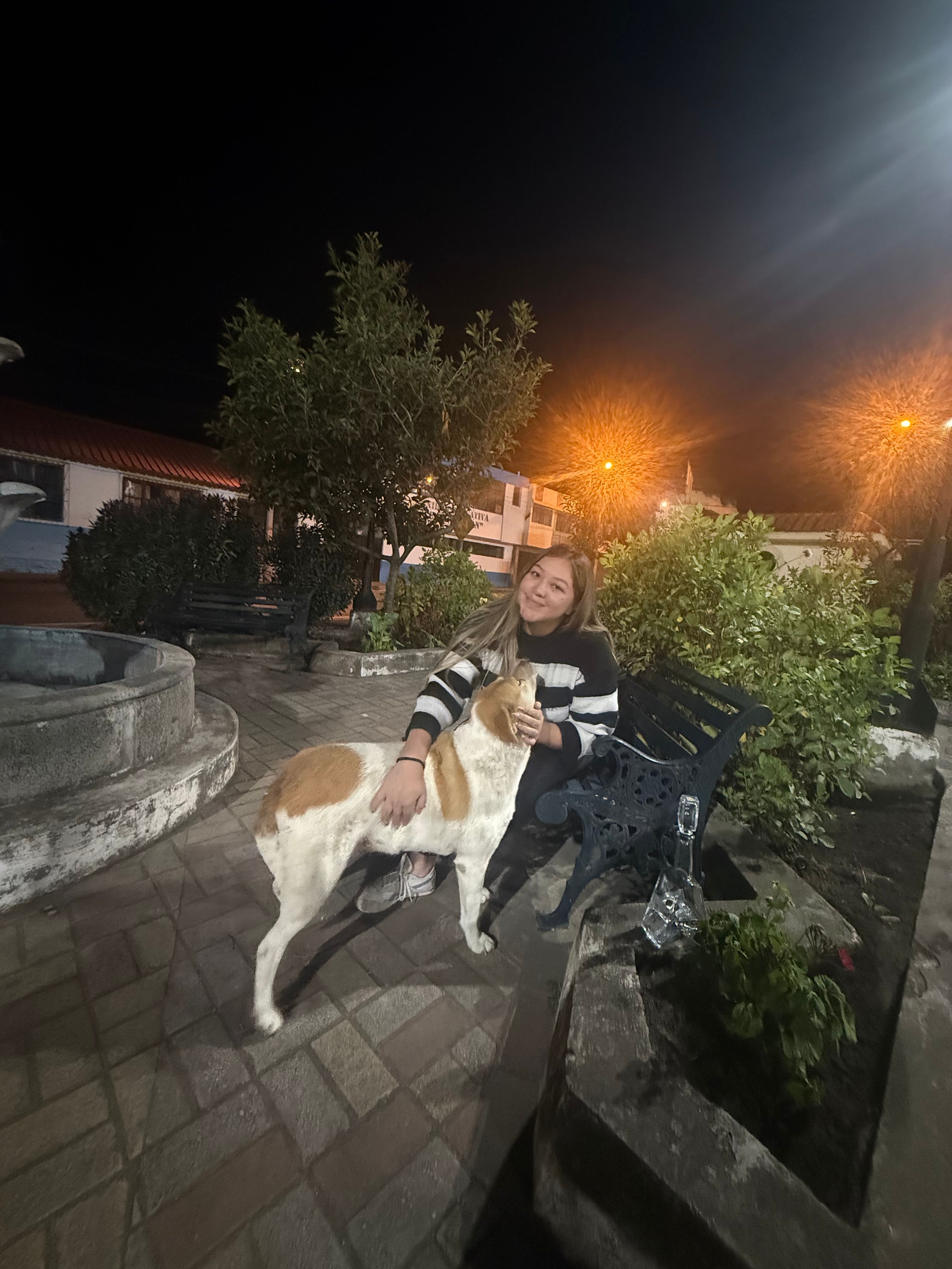 image-8