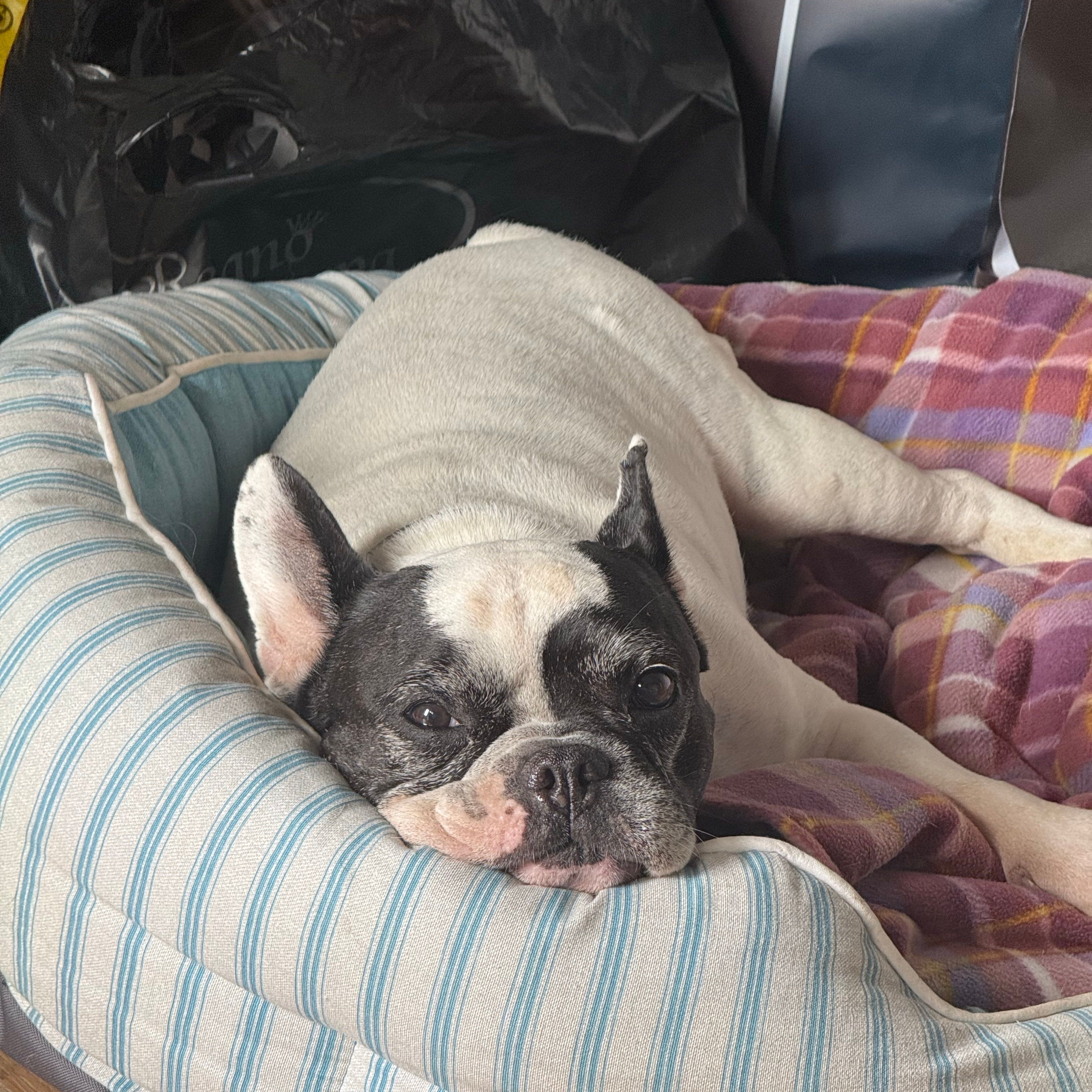 Paco